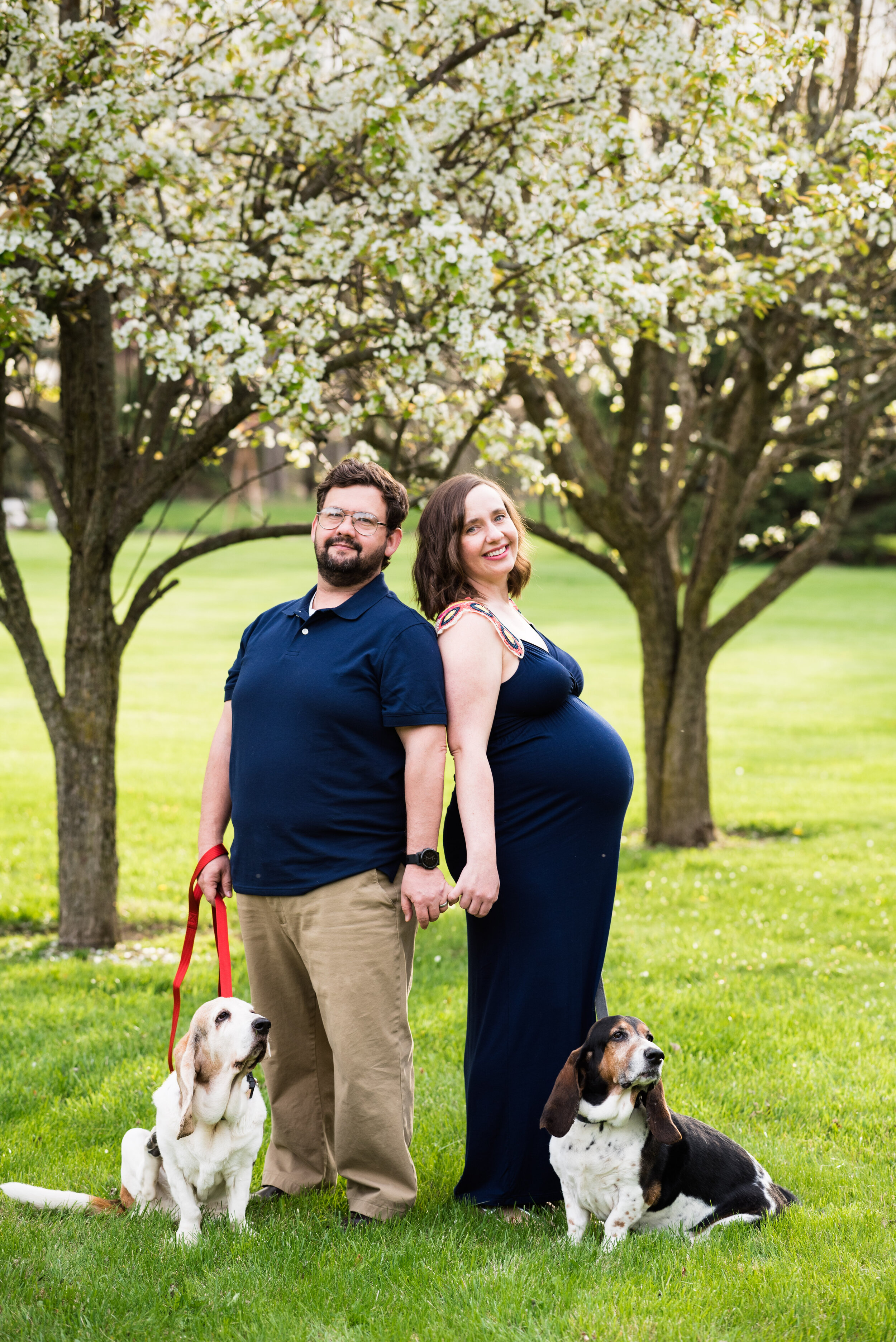 sylvania maternity and dog photography 