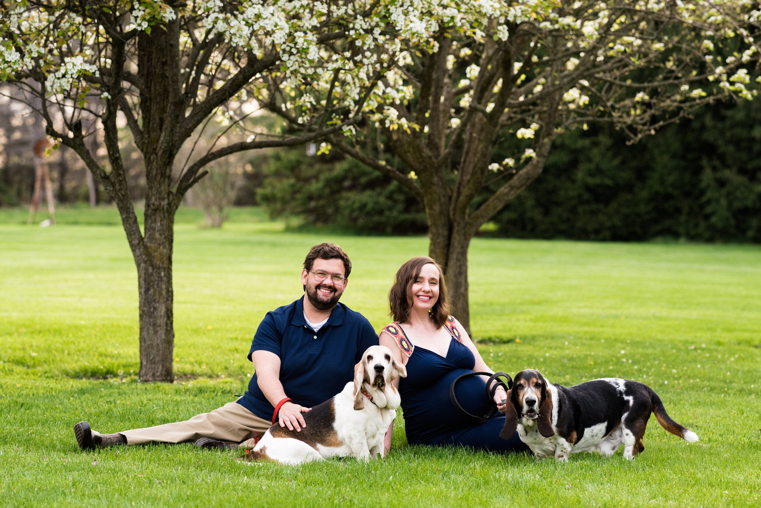 toledo ohio maternity session with dogs 
