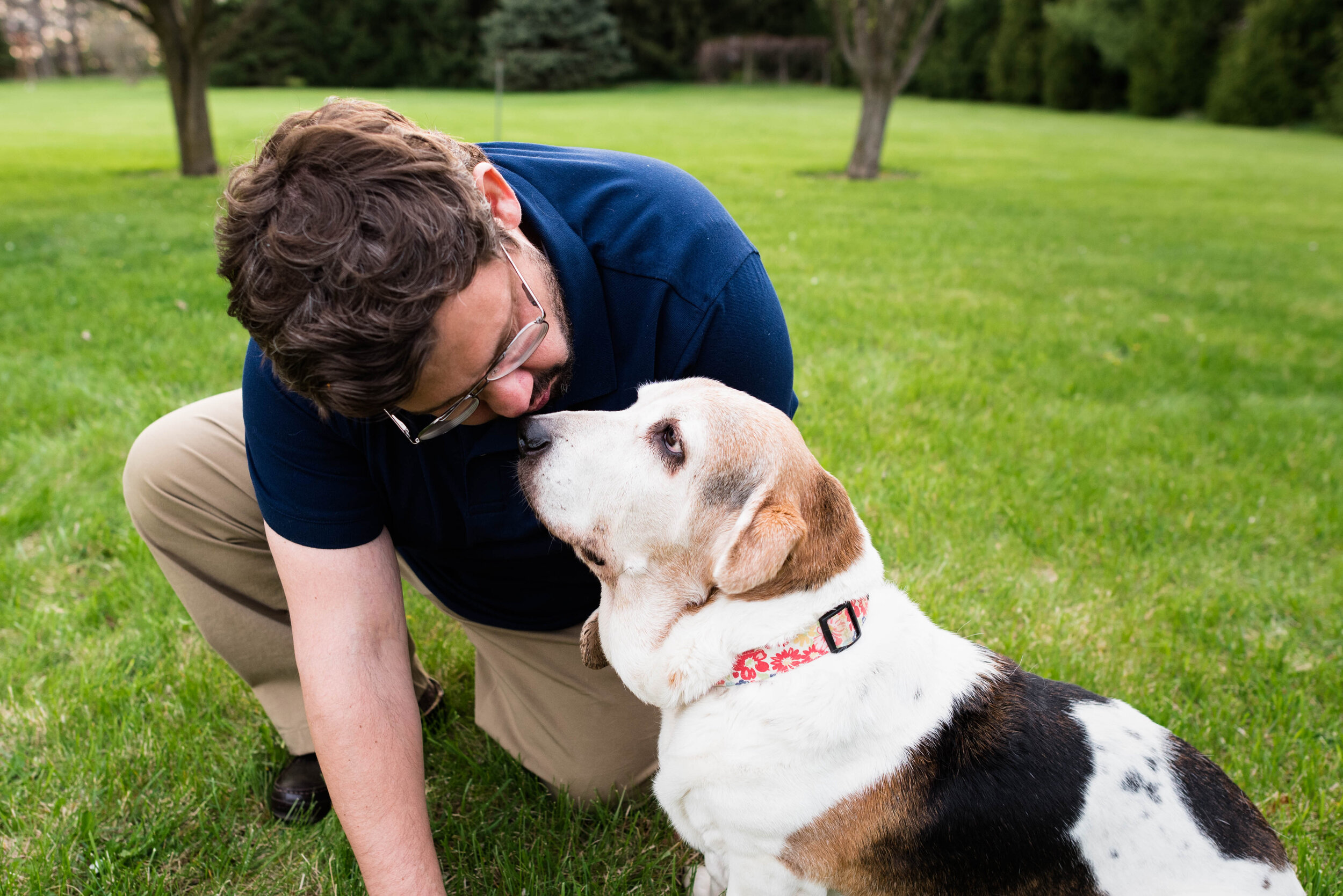 sylvania ohio dog portraits 