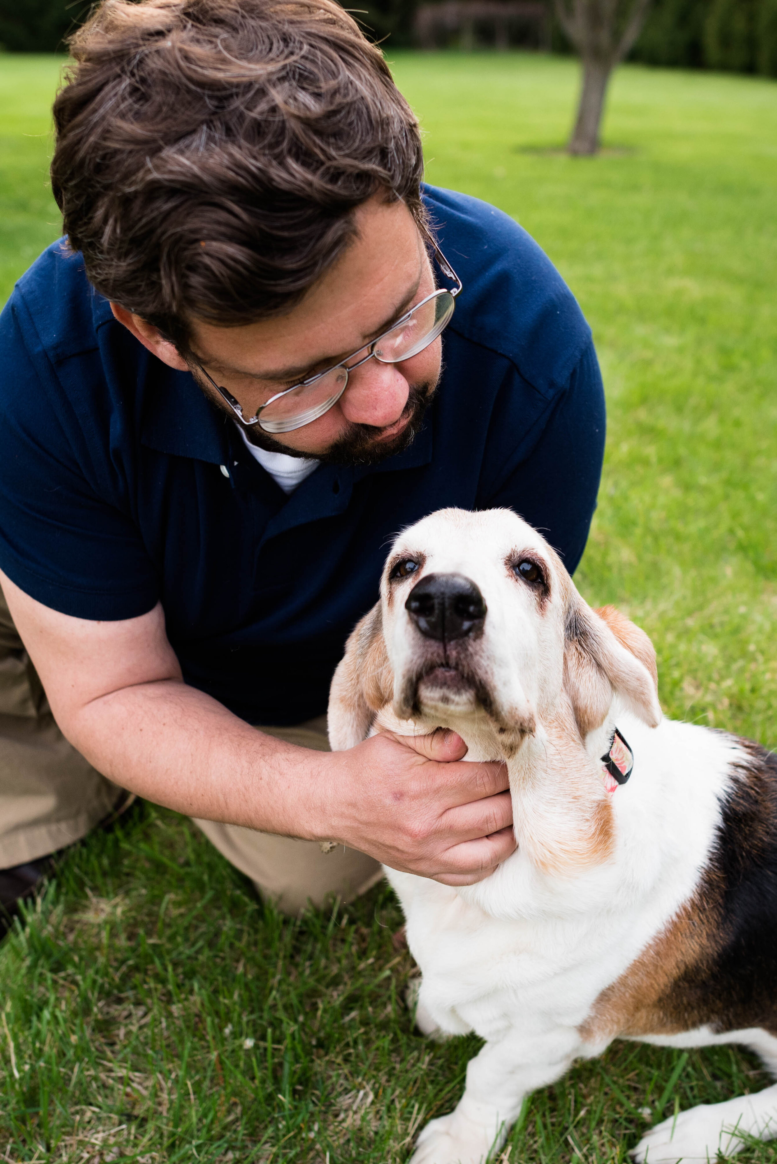 sylvania ohio basset hound photographer 