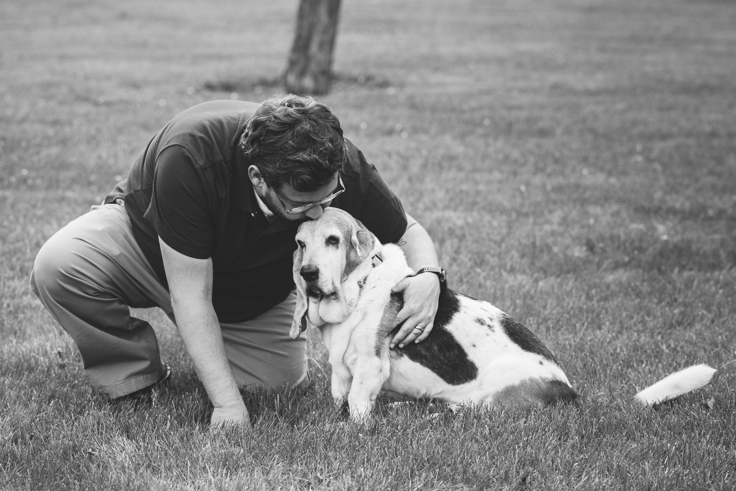 sylvania ohio pet photographer 