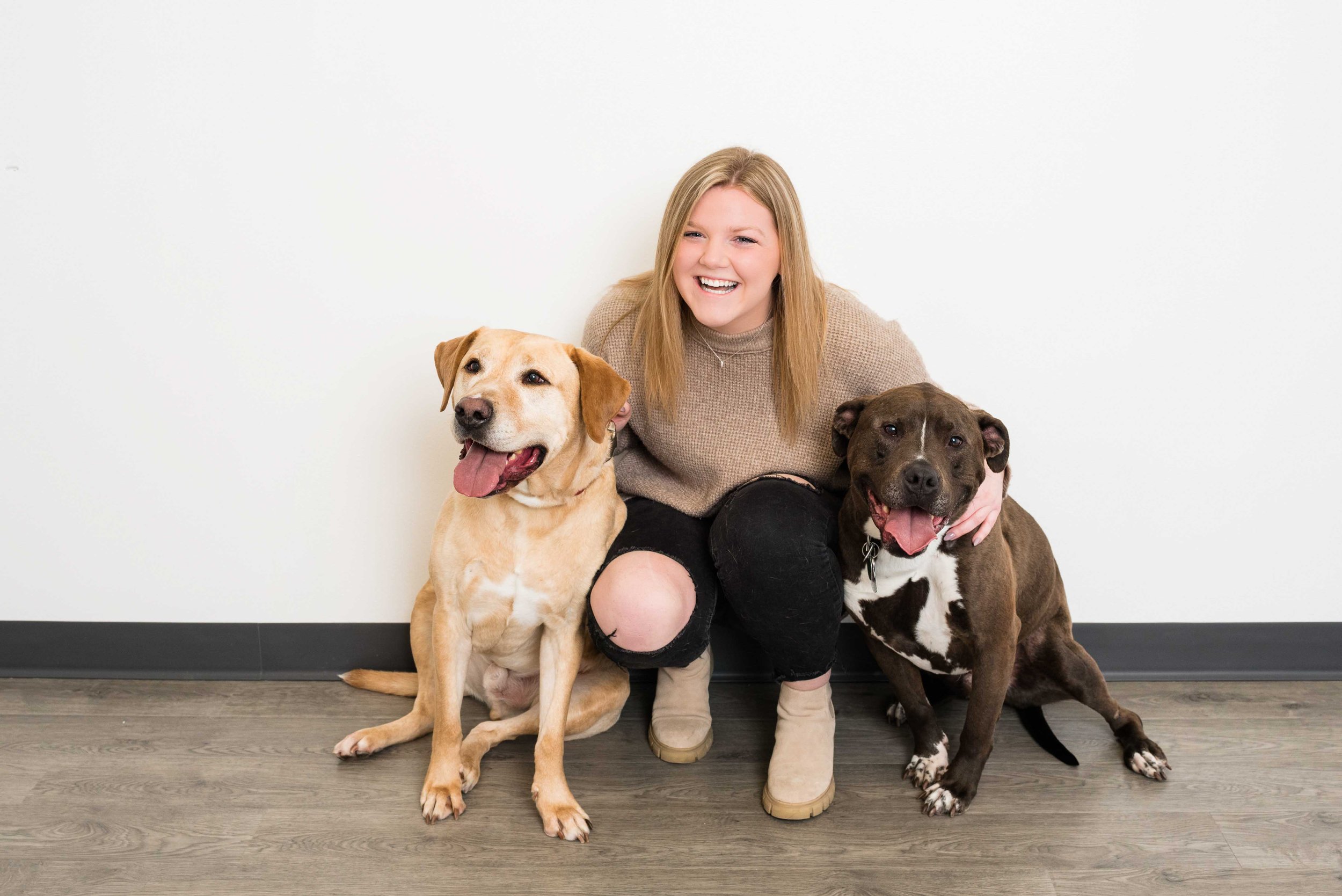 toledo ohio studio pet portrait