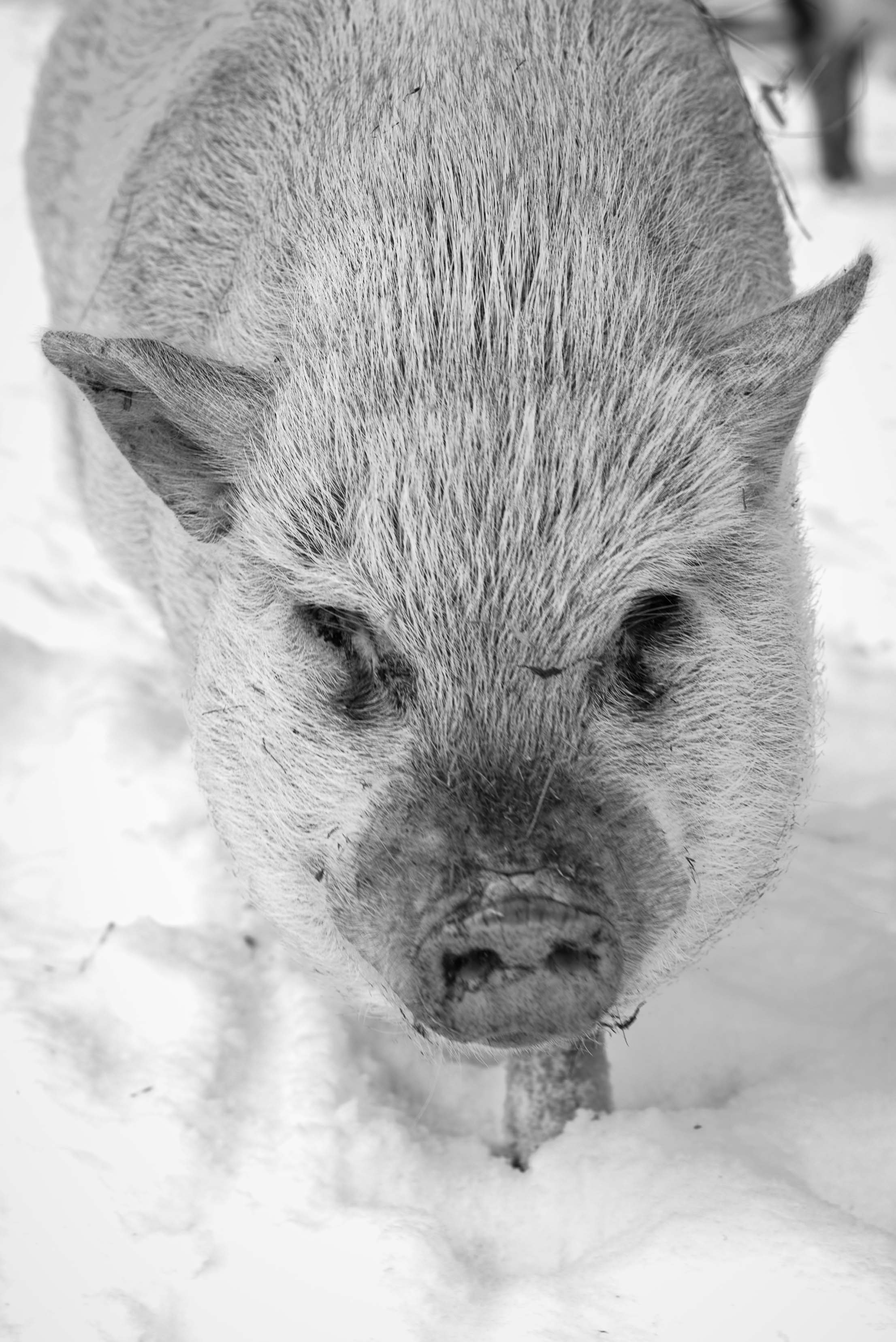 ohio agriculture Photographer 