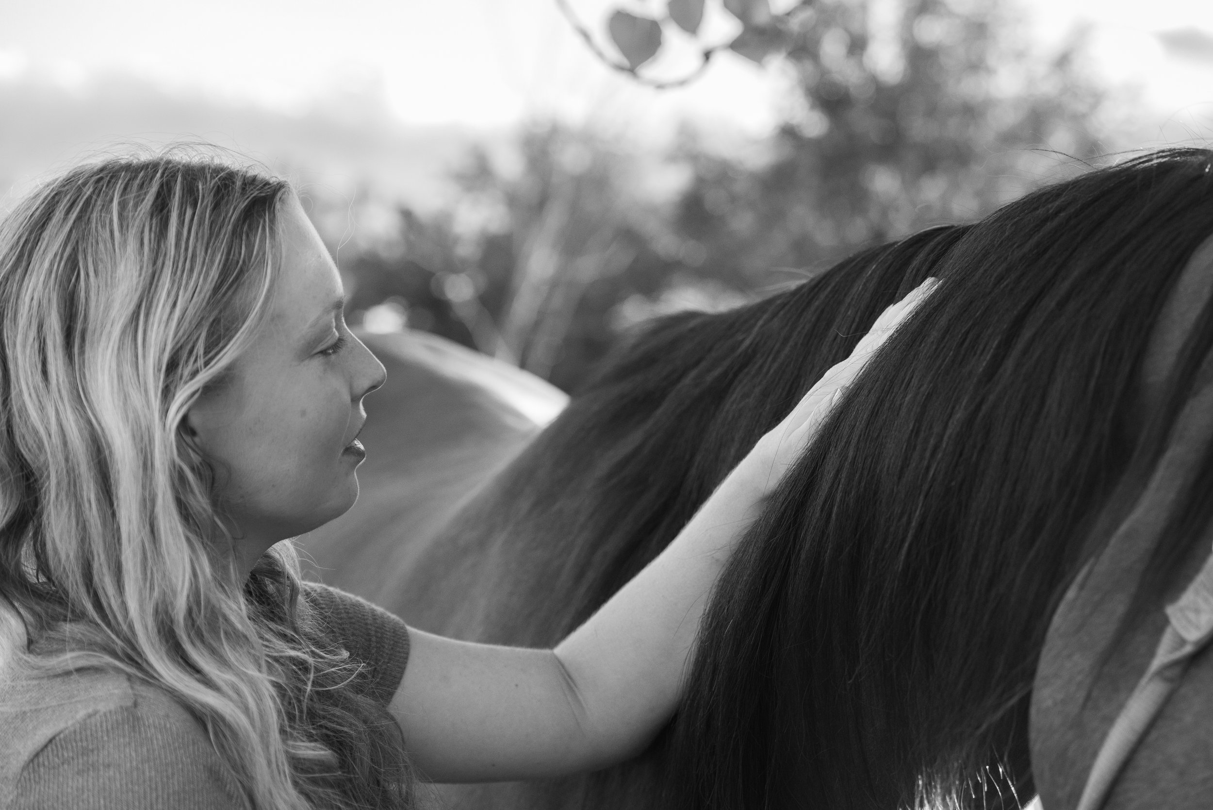 toledo horse photographer