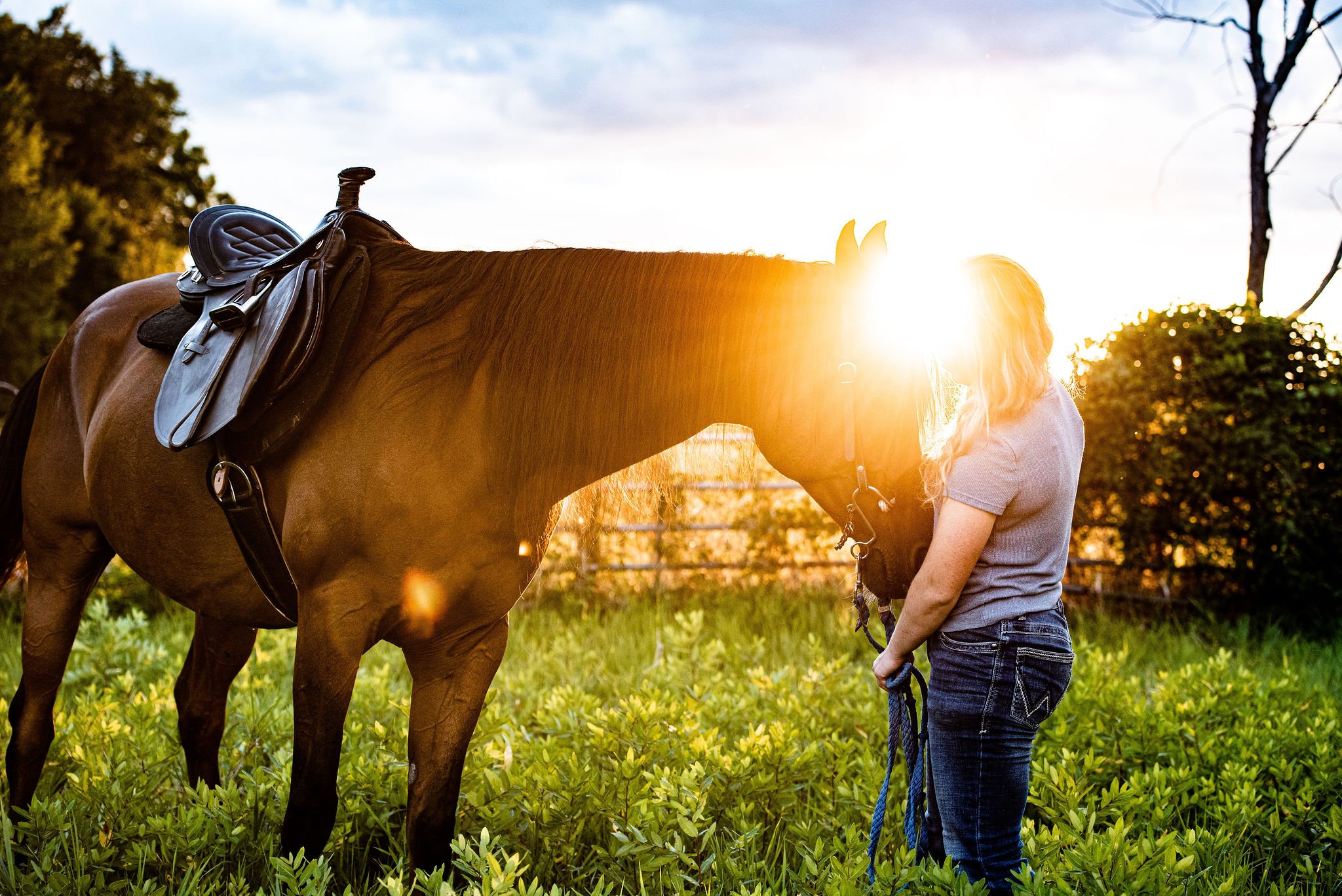 horse and owner at sunset 