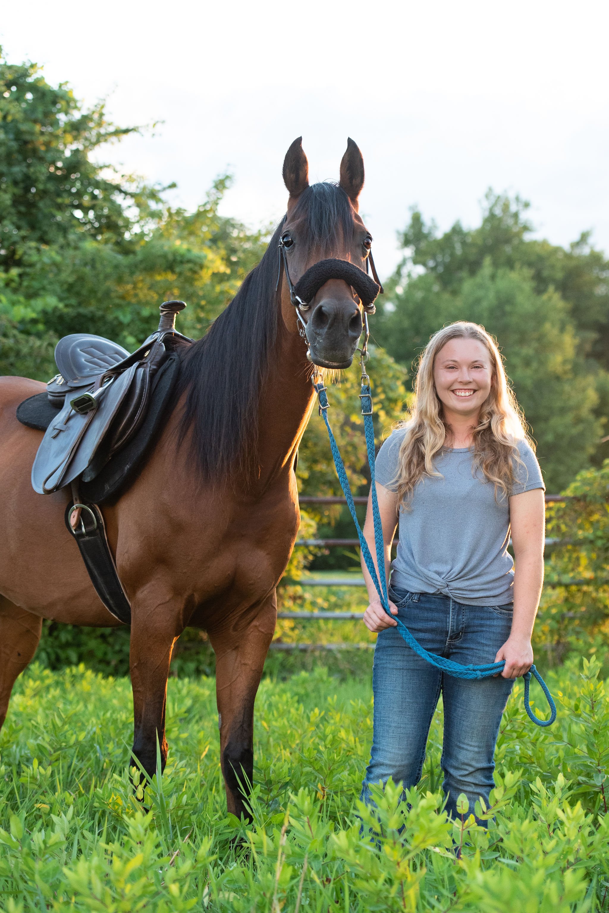 horse photography 