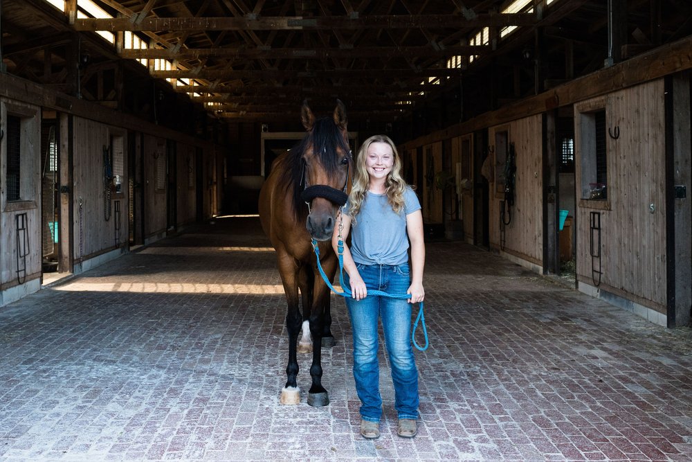 toledo horse photos