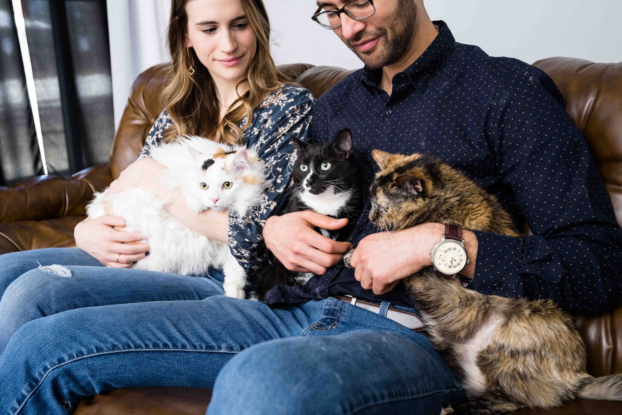 family photos with cats 