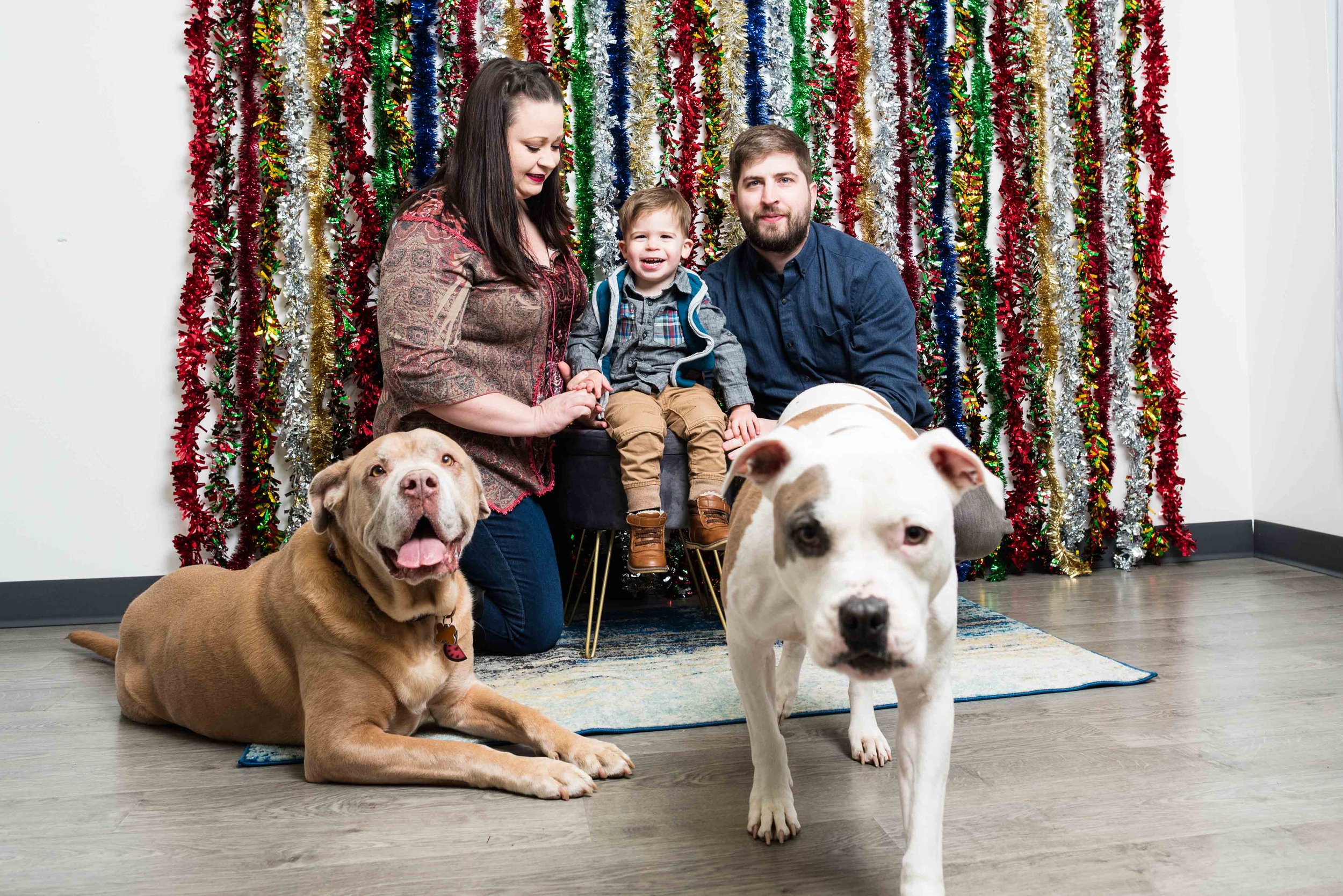 family photos with dogs in toledo