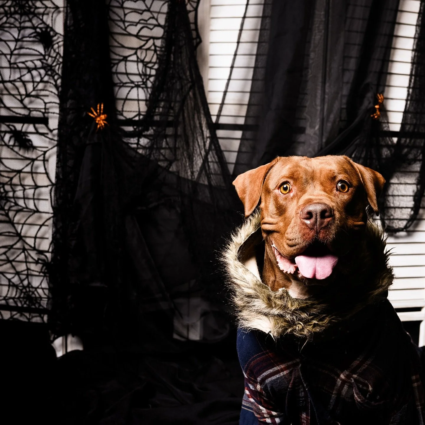 Did you say full moon? 🌙

Photo: @jessattrumbullphoto