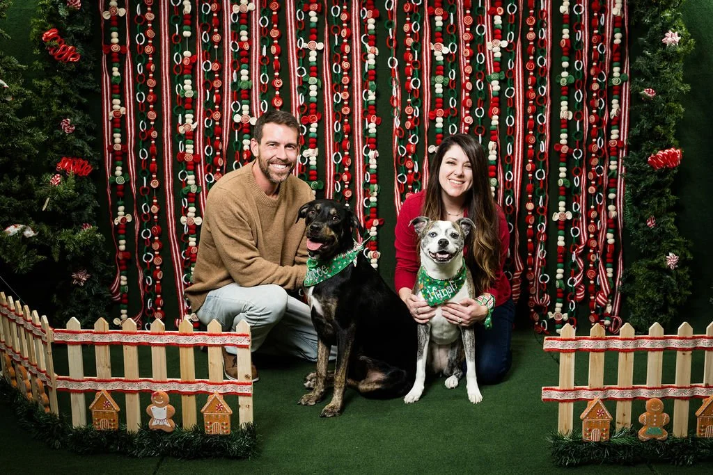 sylvania ohio photographer that photographs pets