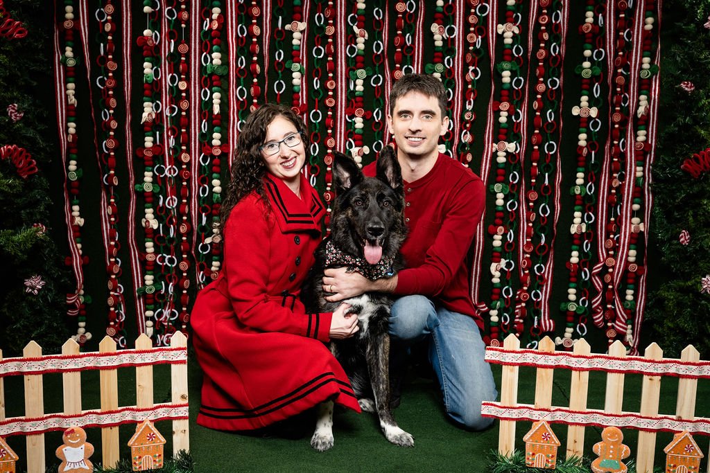 toledo ohio pet holiday photos 