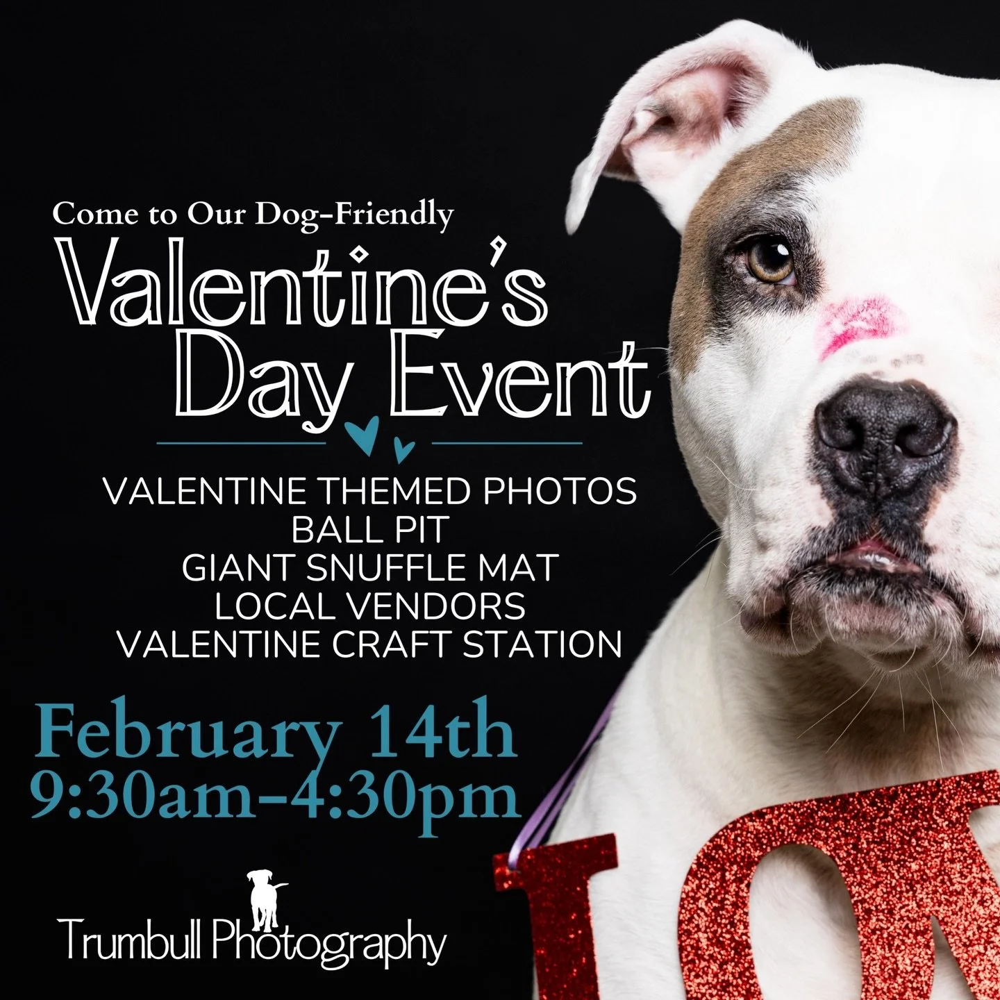 ❤️ Woof you be my Valentine?❤️ 

We are inviting friends, family, clients and anyone who is a dog/pet-lover to join us. We are also inviting your dogs. What could be better than spending some quality time with your most beloved (four legged) companio