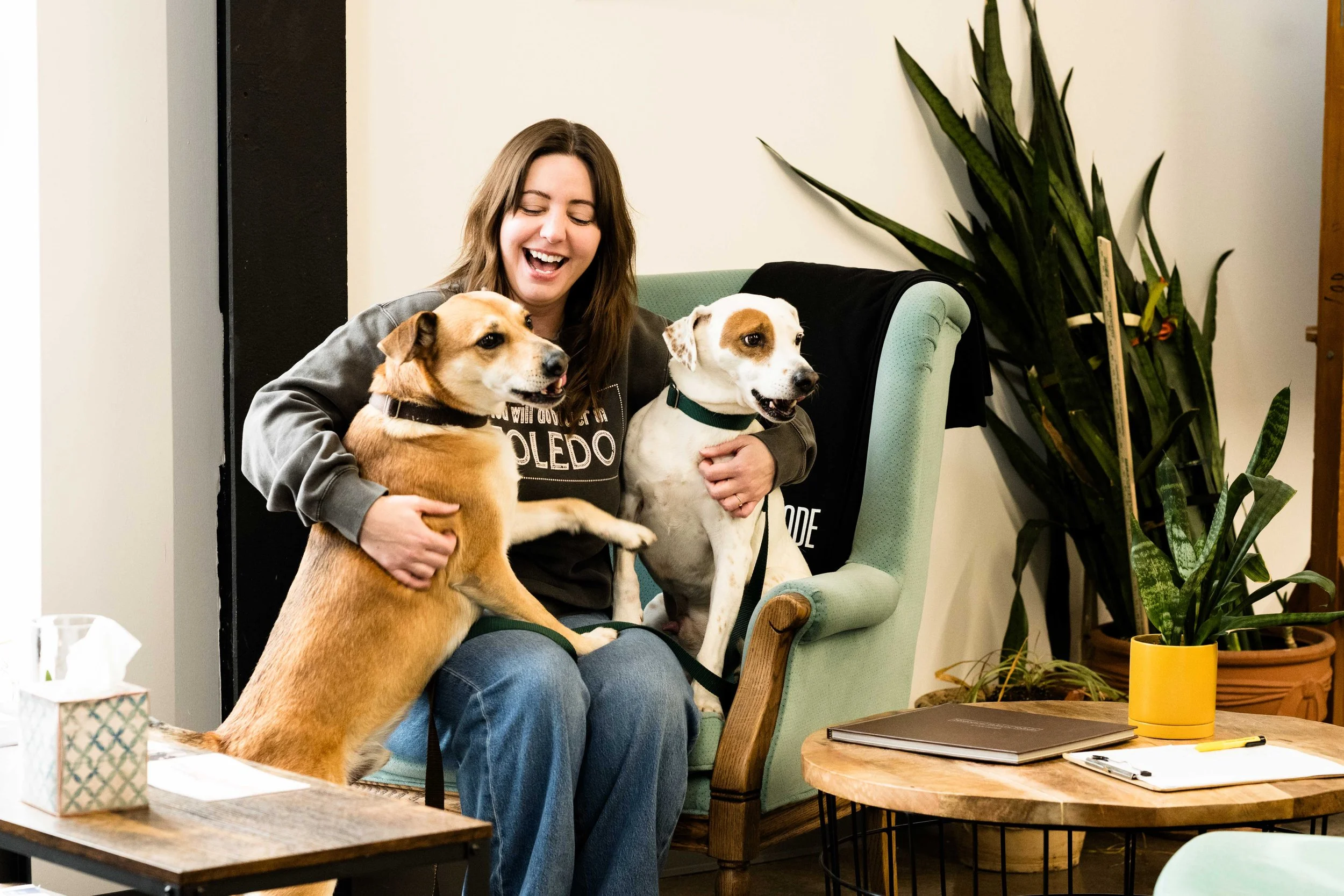 office dogs photographed by trumbull photography