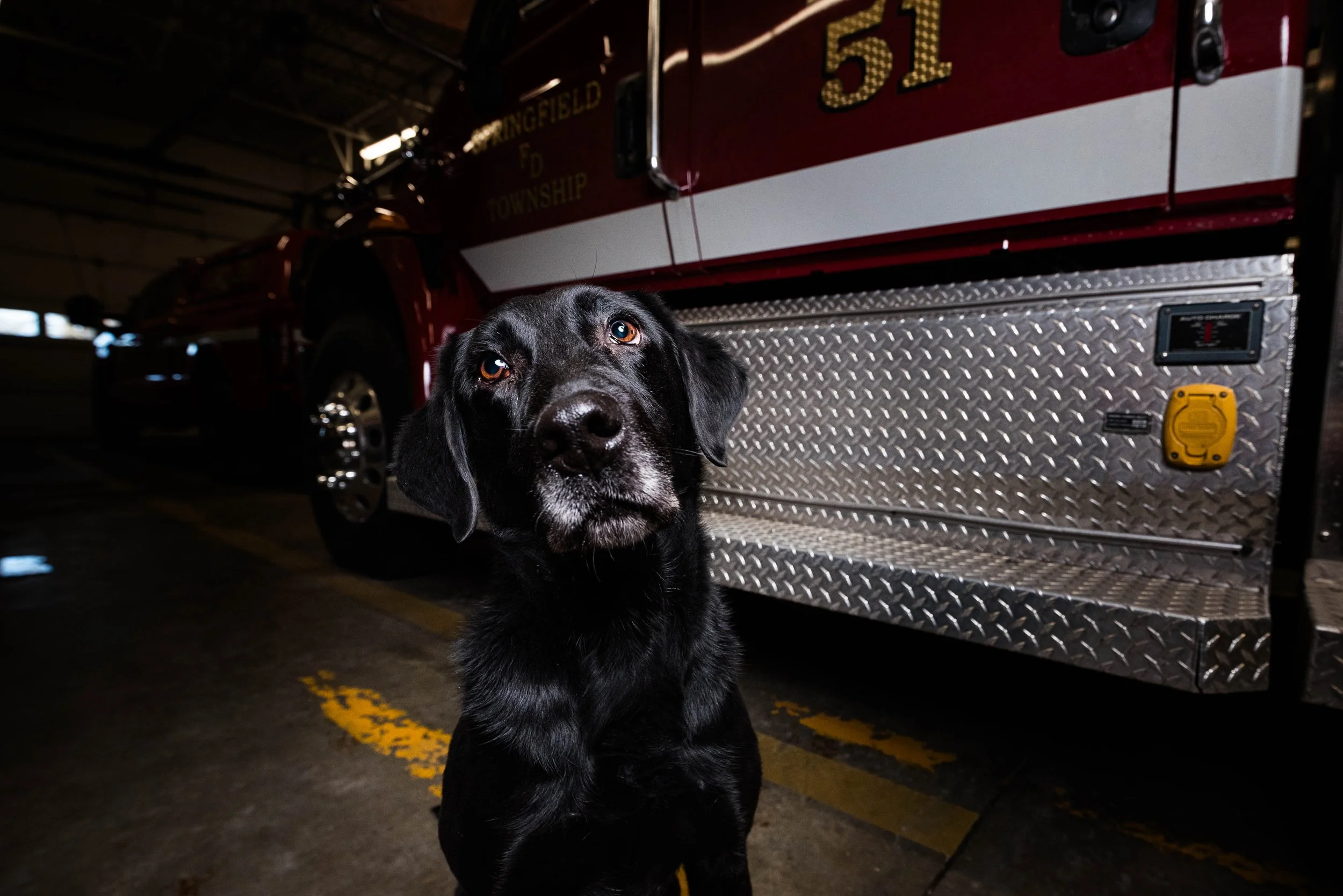 toledo ohio search and rescue dogs