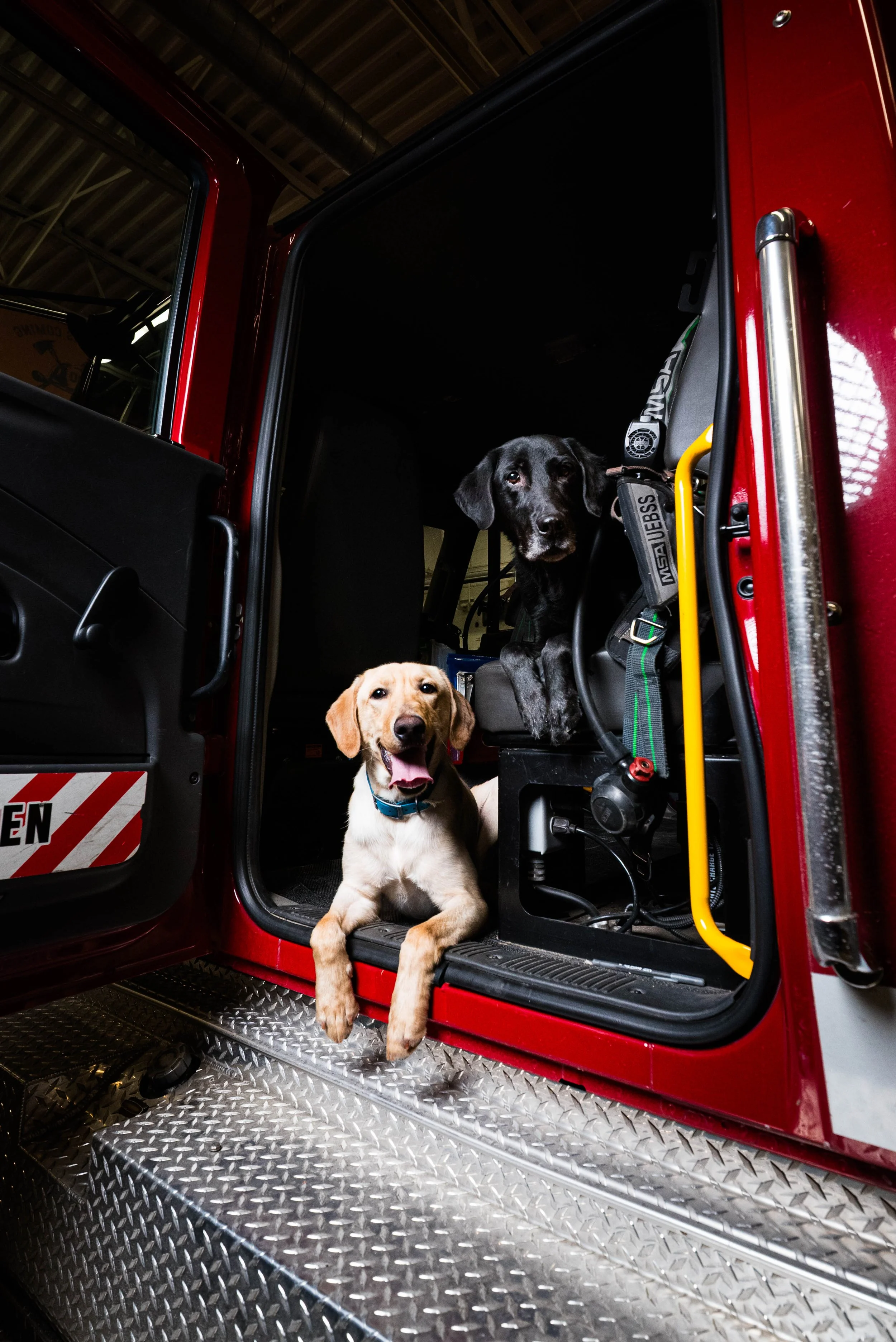 K9 Search and Rescue. Springfield Township Fire Department. 