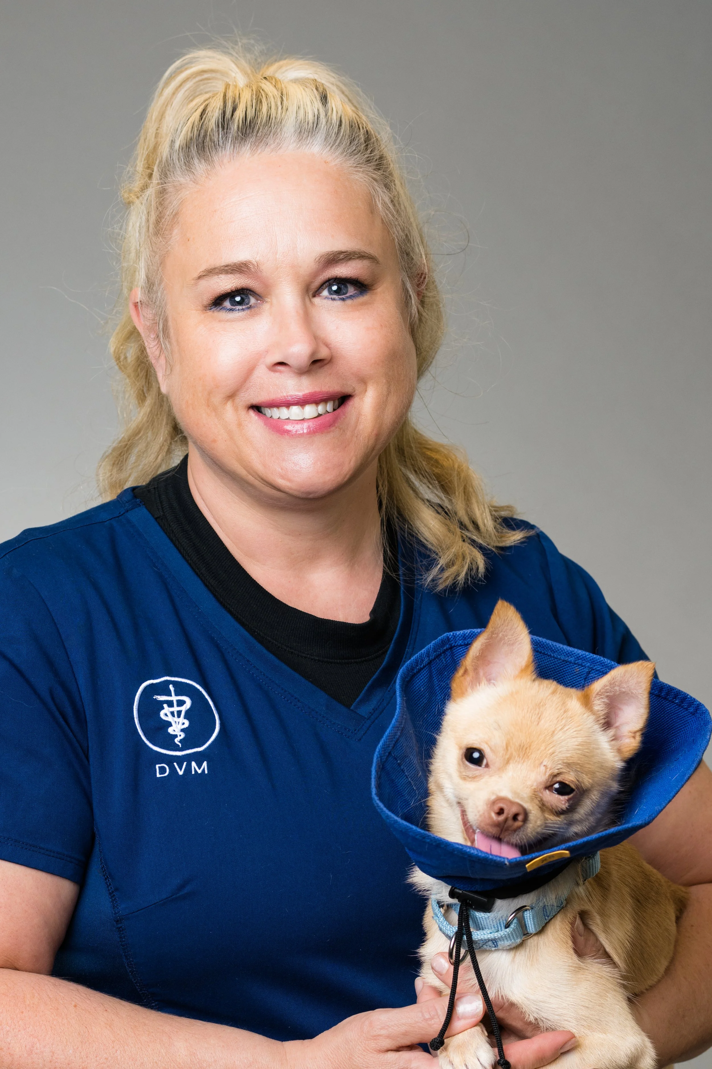 toledo ohio branding photos for veterinarians office 