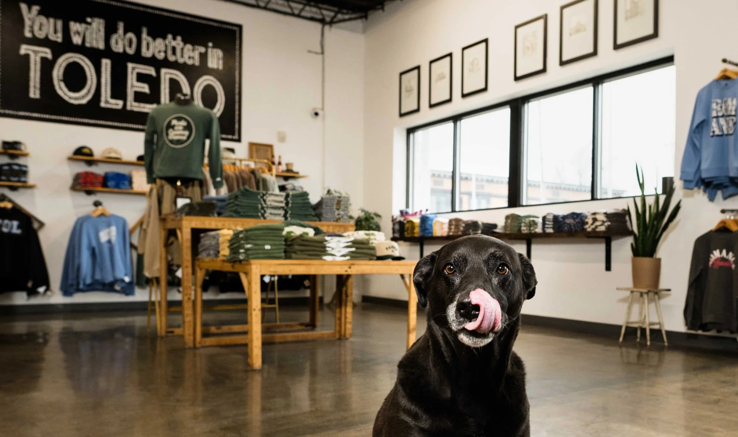 jupmode feature 2026-17.jpg