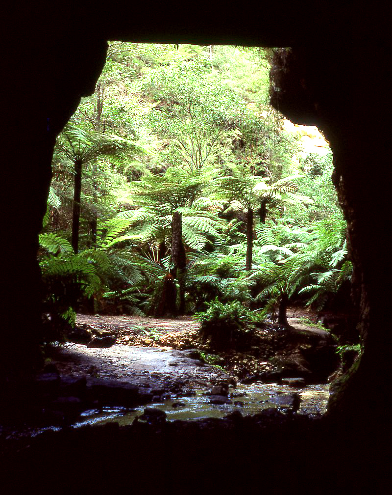 Glowworm Tunnel