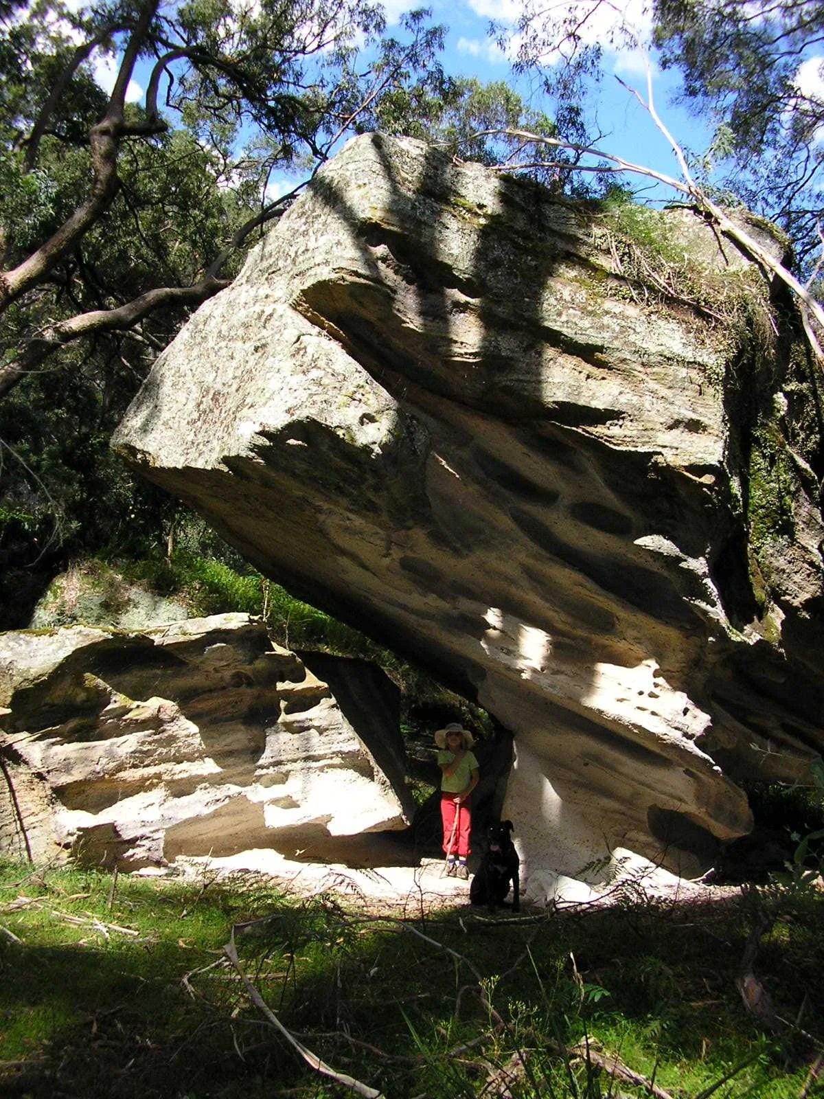 Petrie's Gully