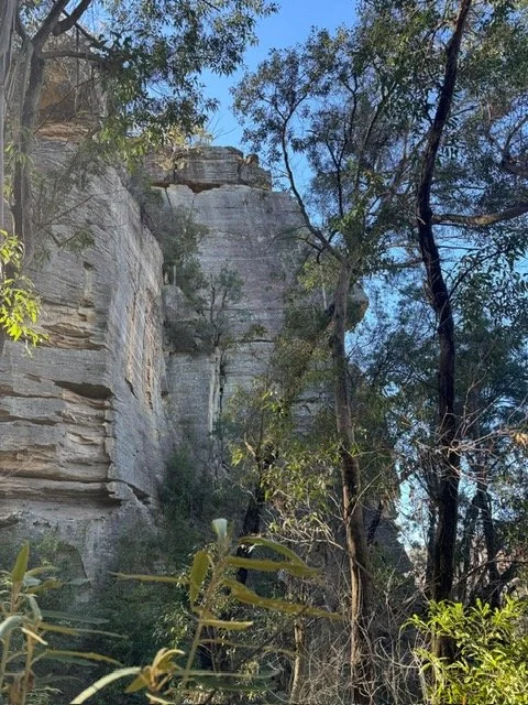 Pipeline Track to Glen Davis