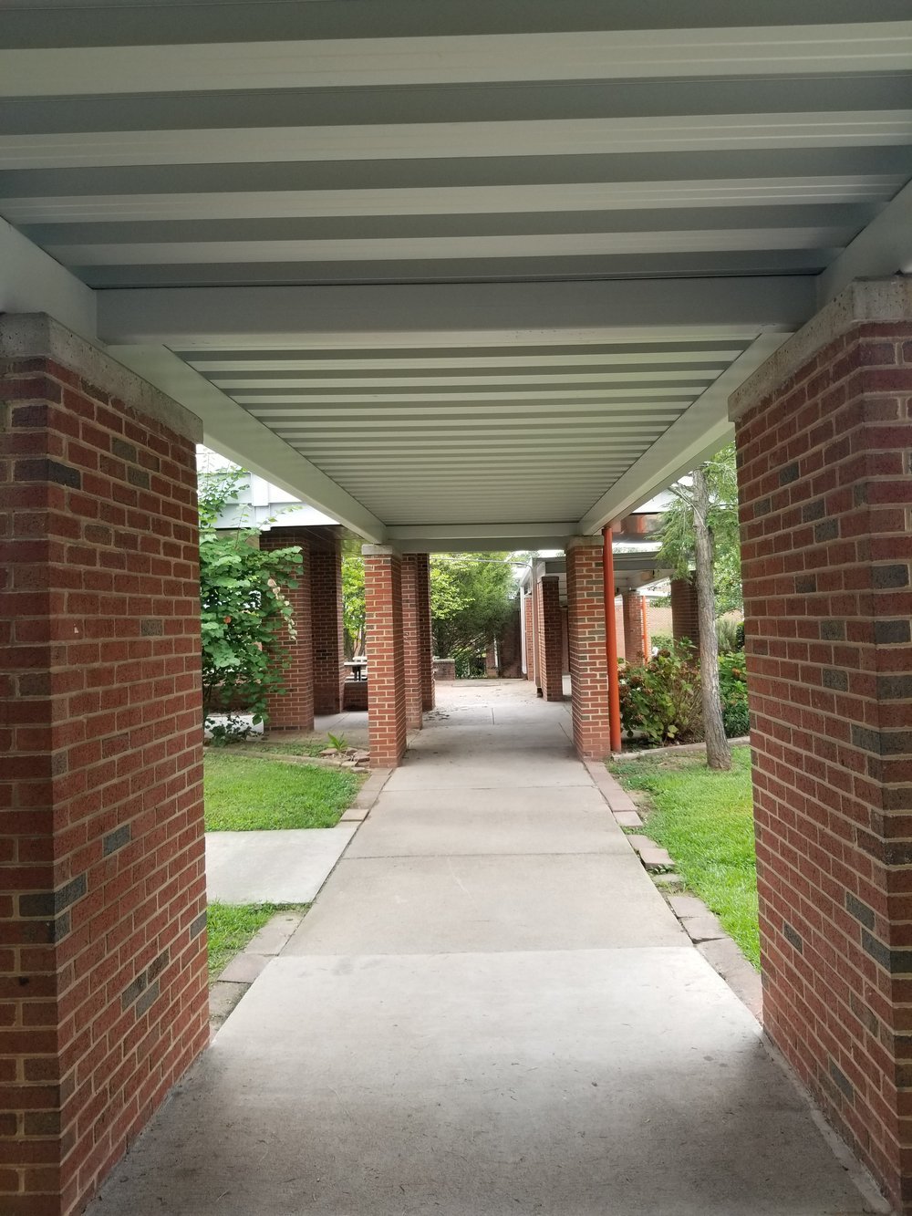 CANOPY PIC 2.jpeg