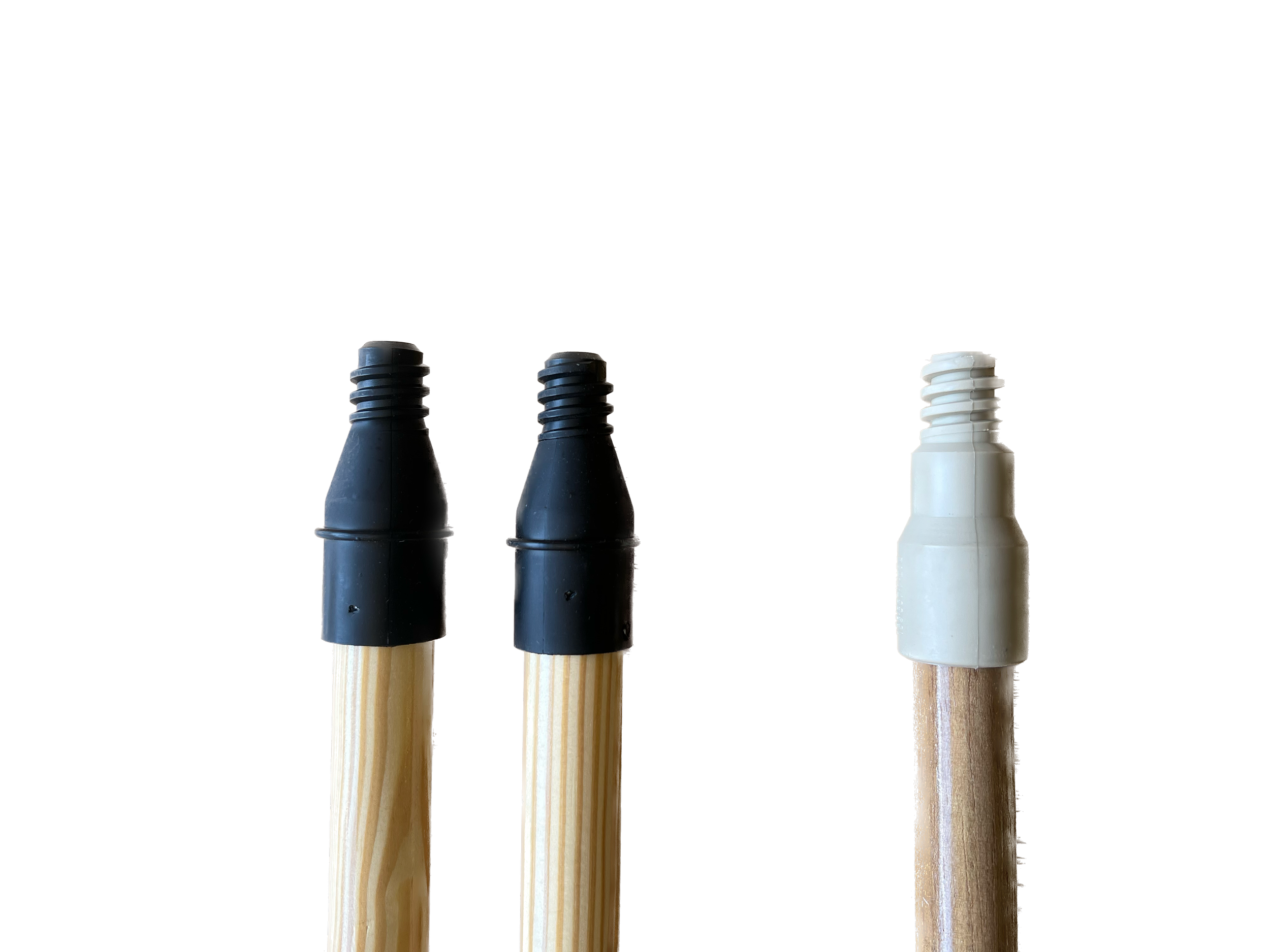 IMG_2218 Background Removed.png