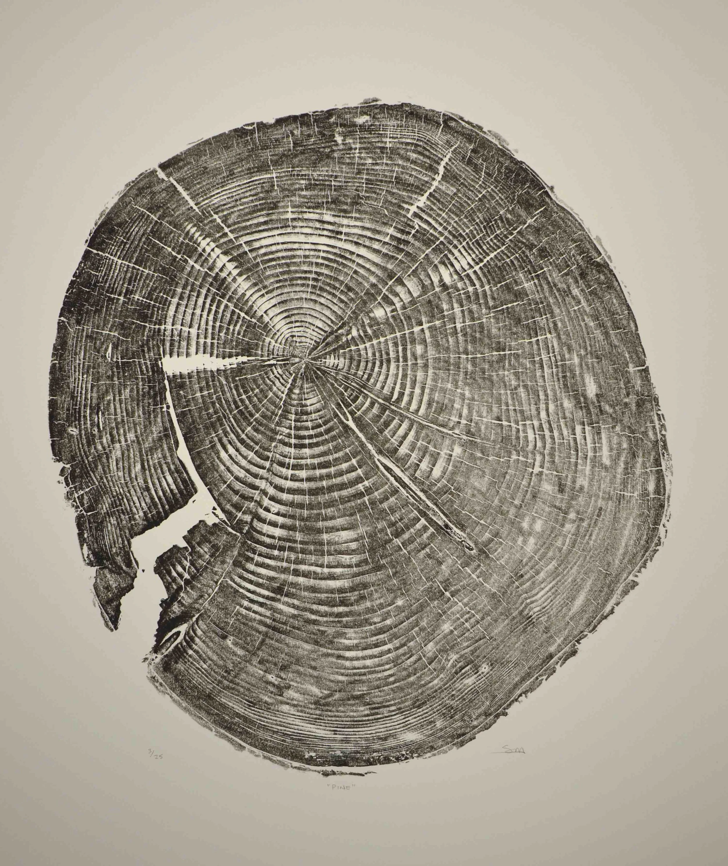 Pine