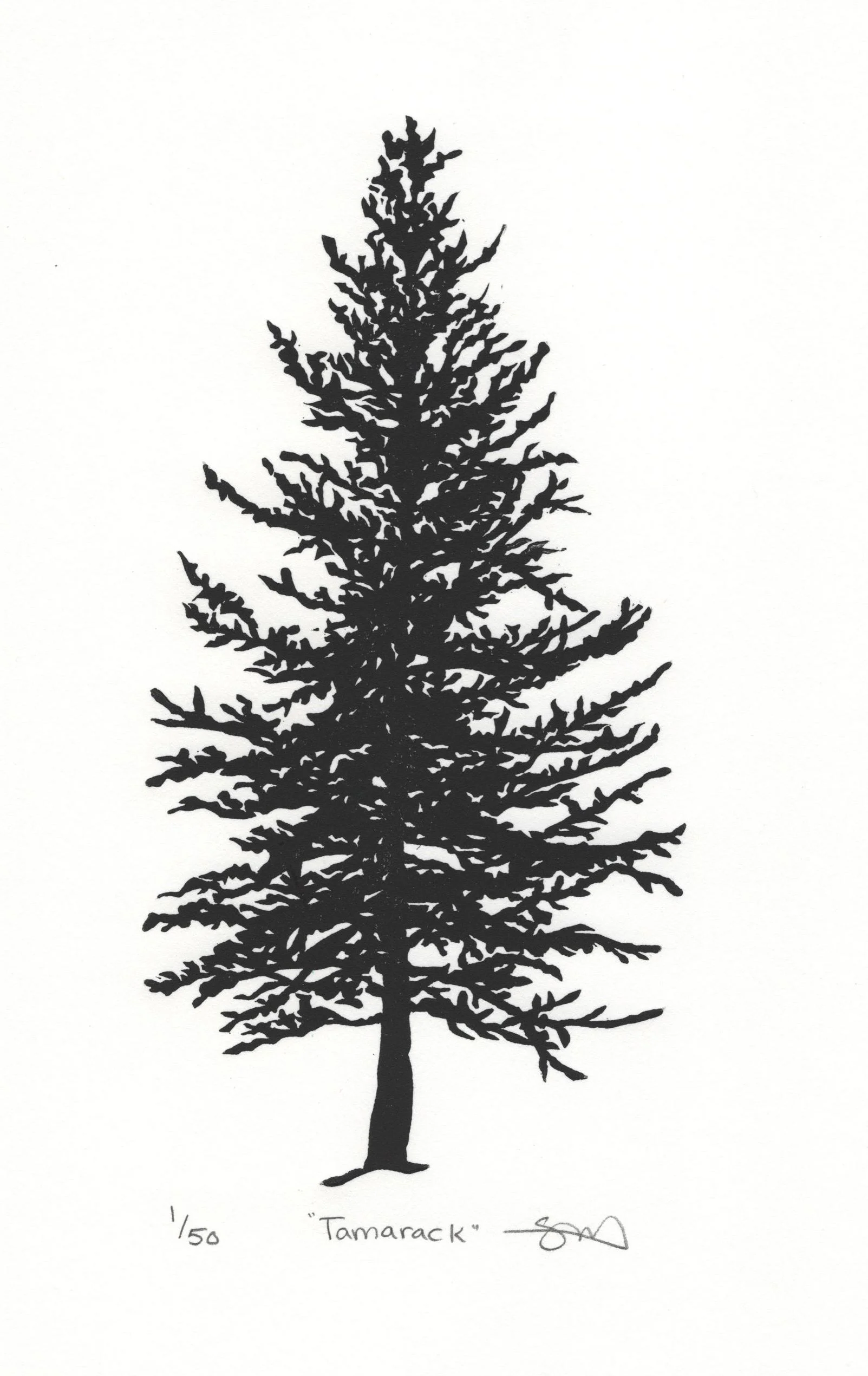 Tamarack