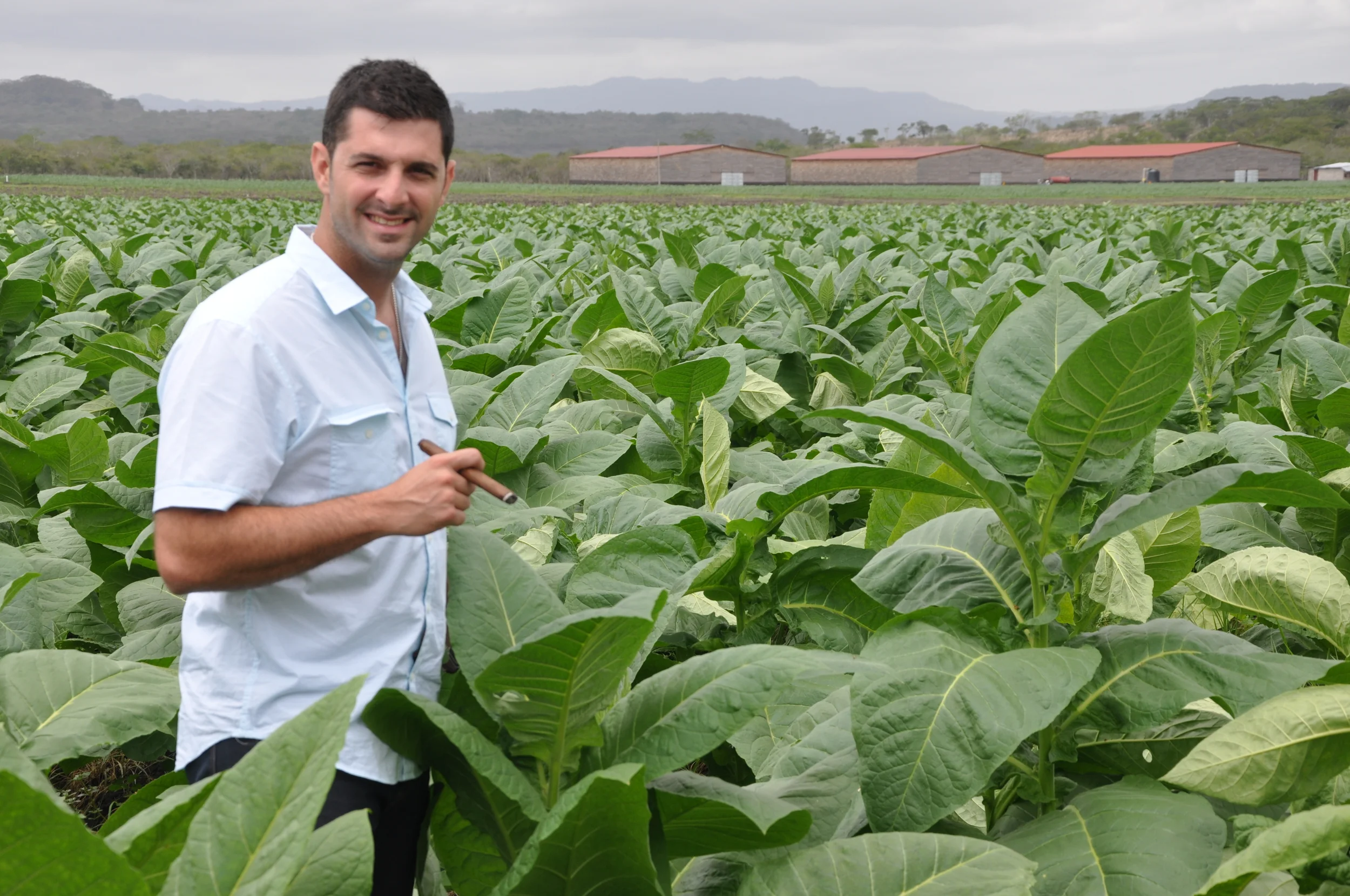 Rodriguez Cigar Factory