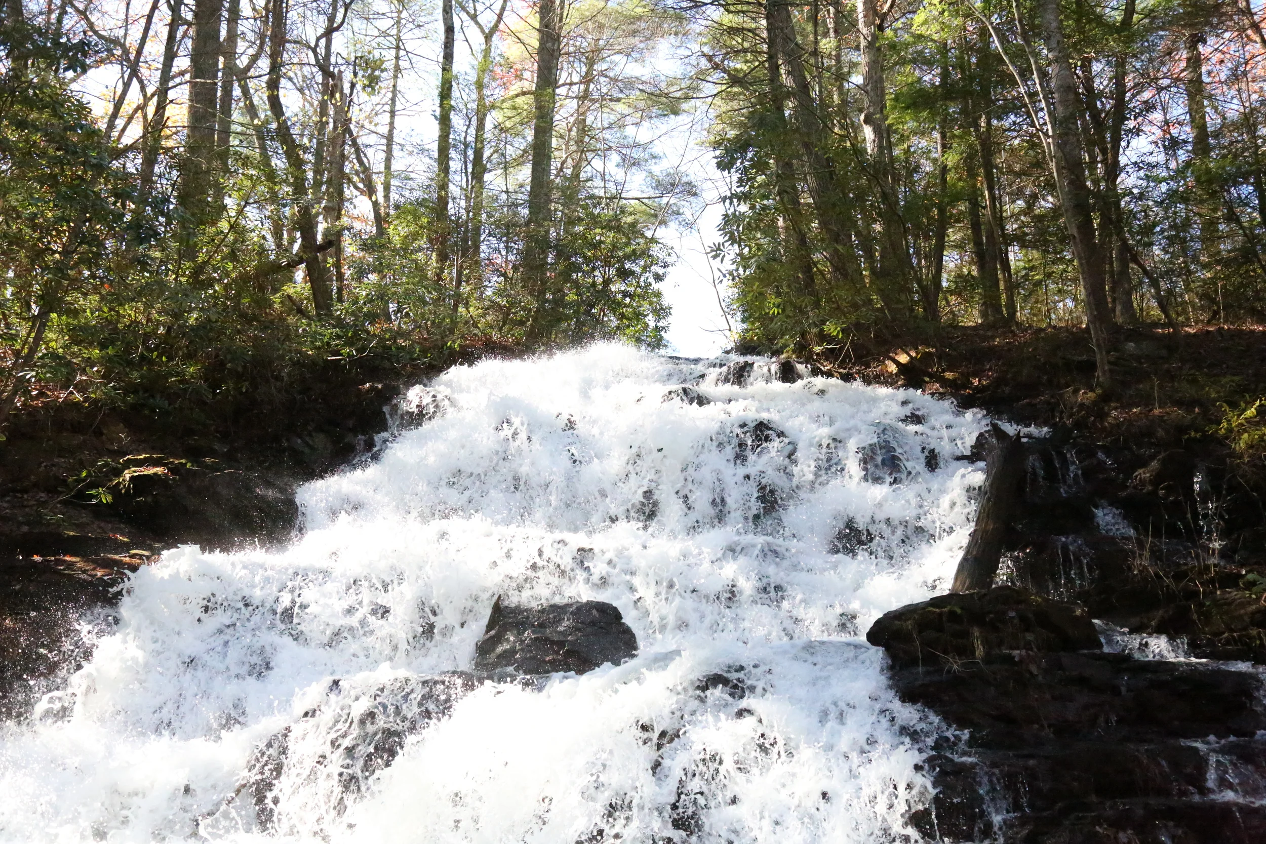 Vogel State Park, Georgia