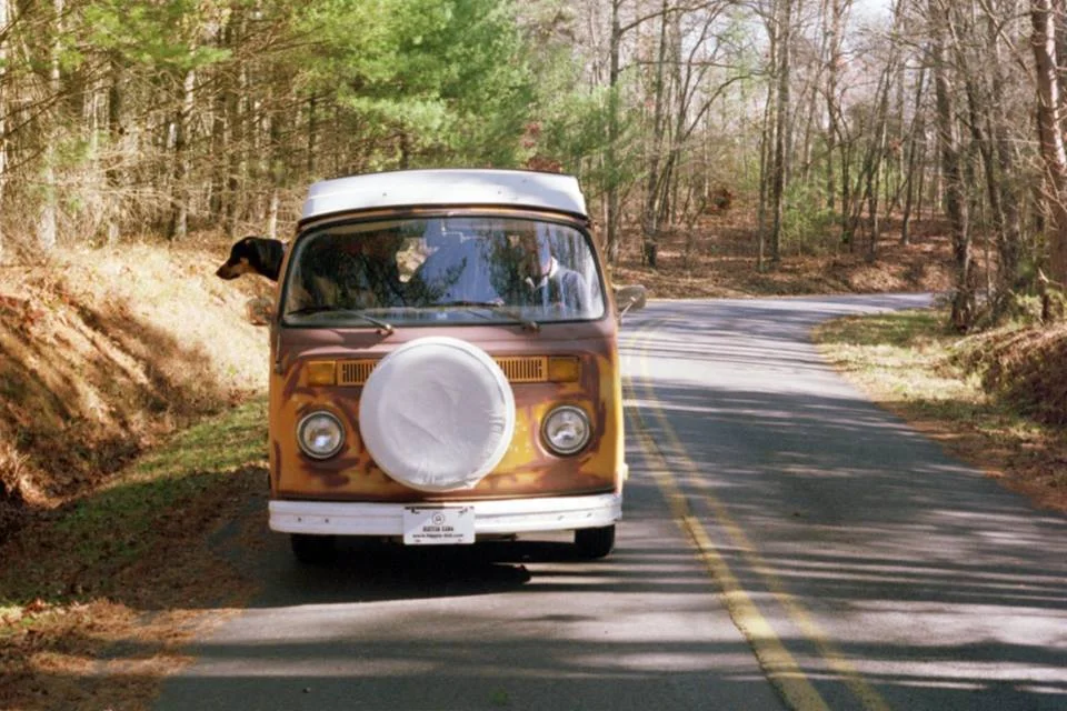 Blue Ridge Mountains + Daisy