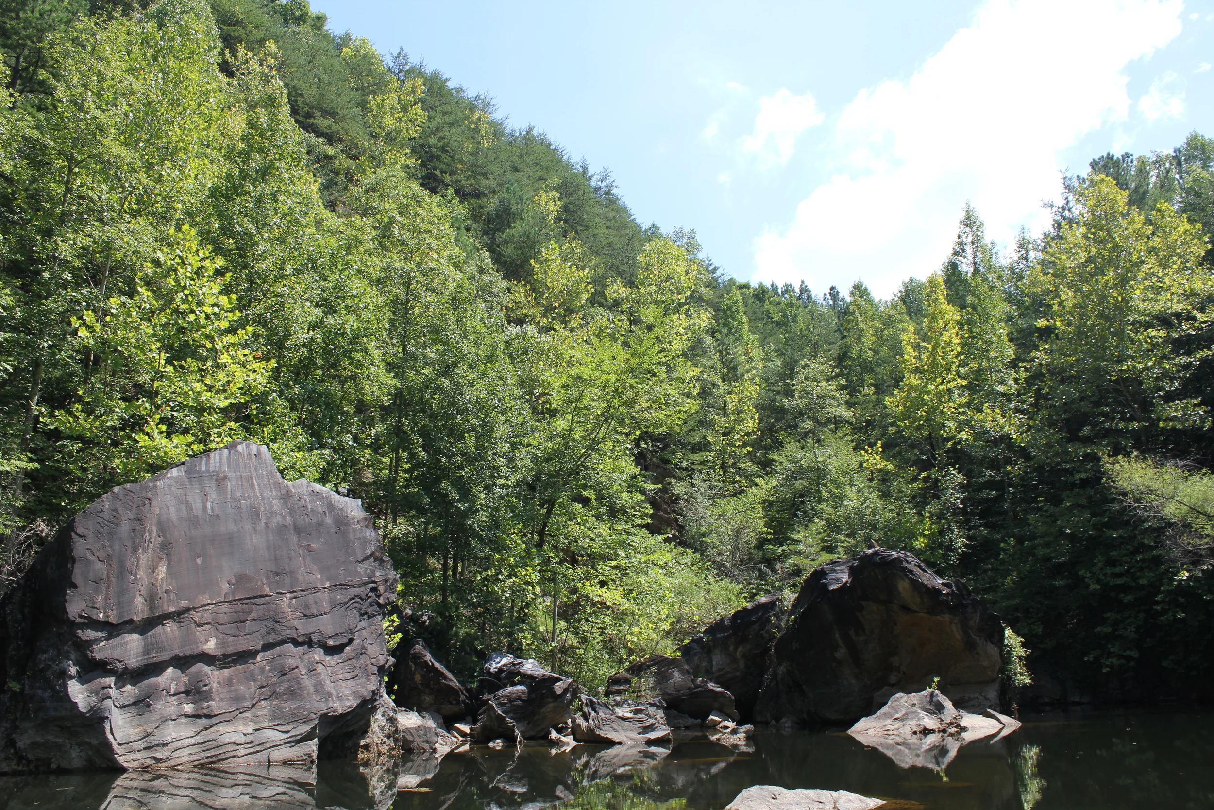 IMG_6320.JPG