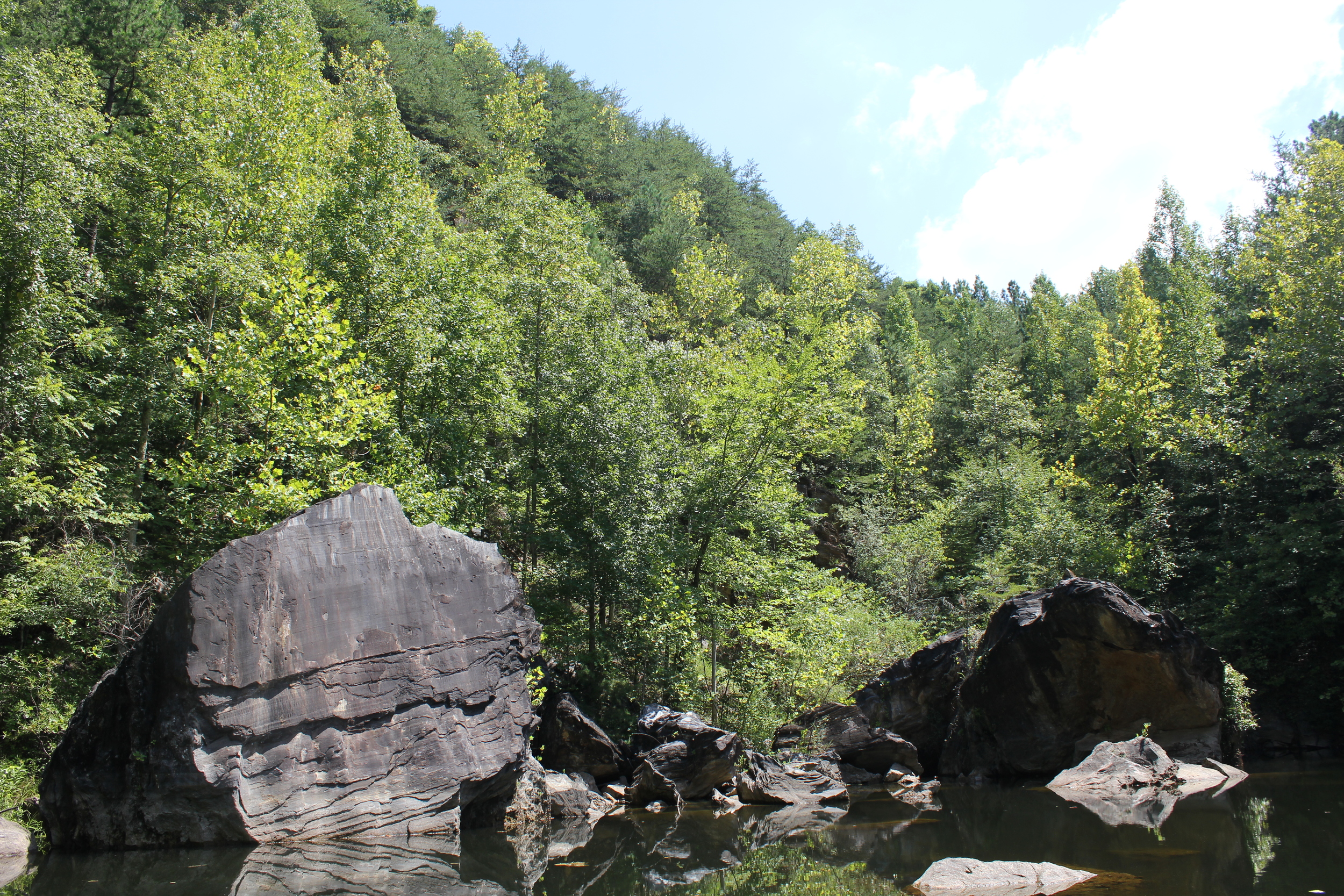 Pine Log Creek Trail System 