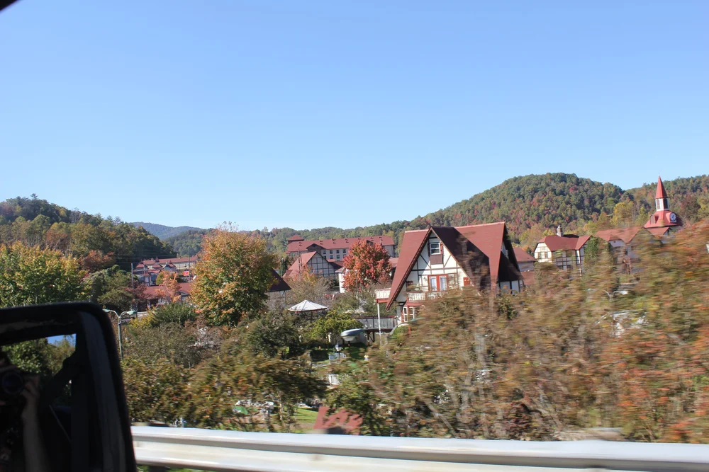 IMG_7167.JPG