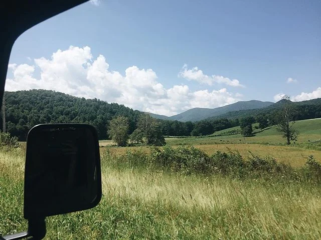 🤙🏽
