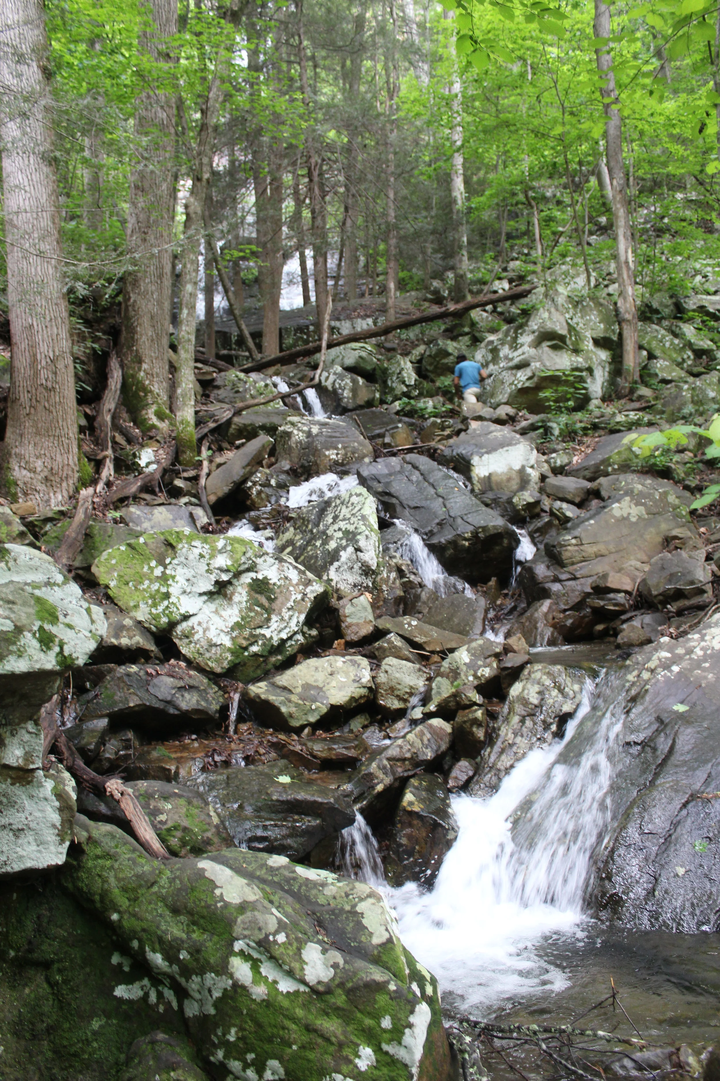 IMG_7293.JPG