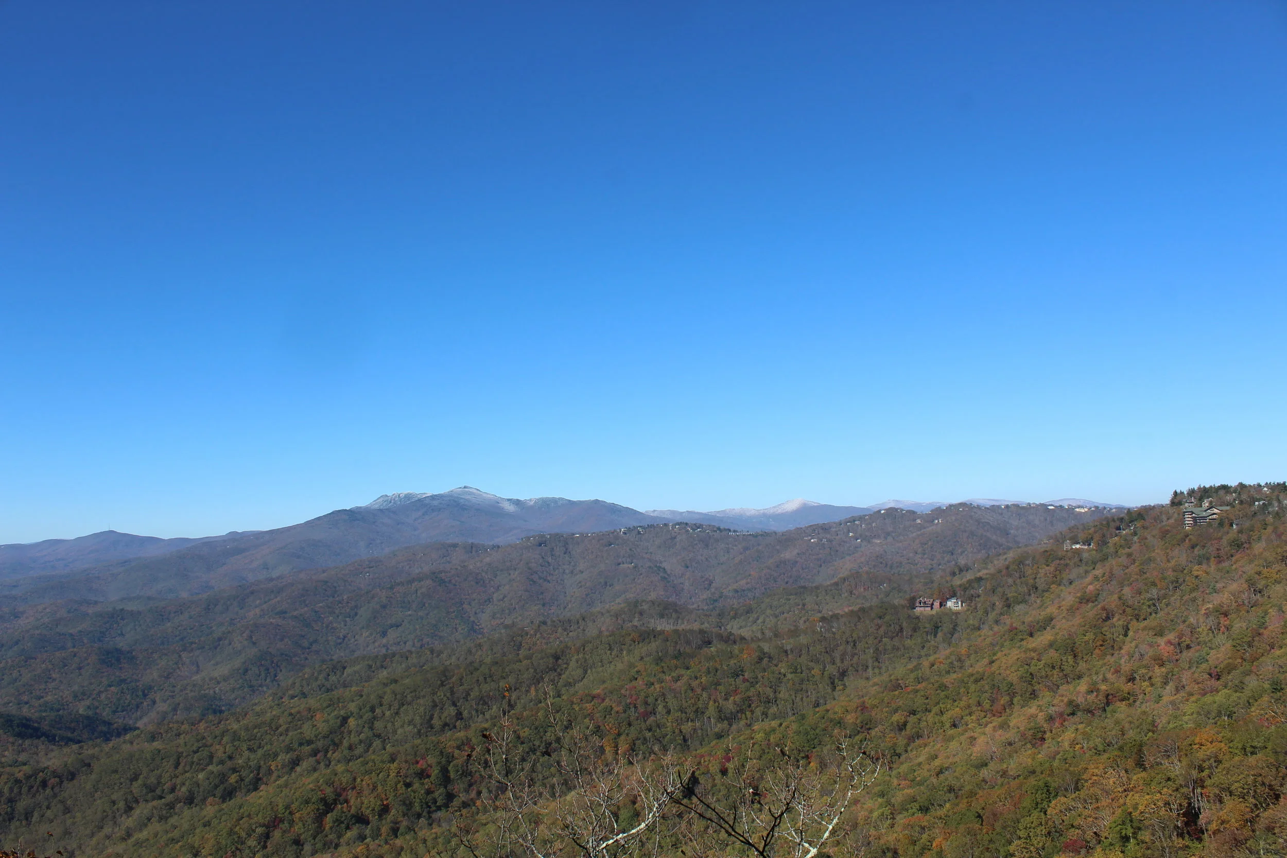 IMG_7534.JPG