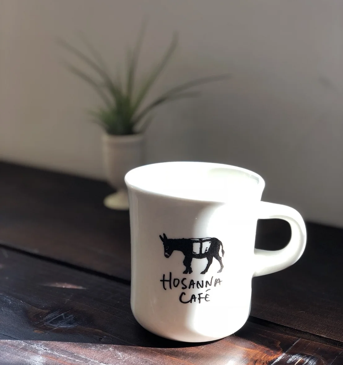 Hosanna Cafe Popup Portraits