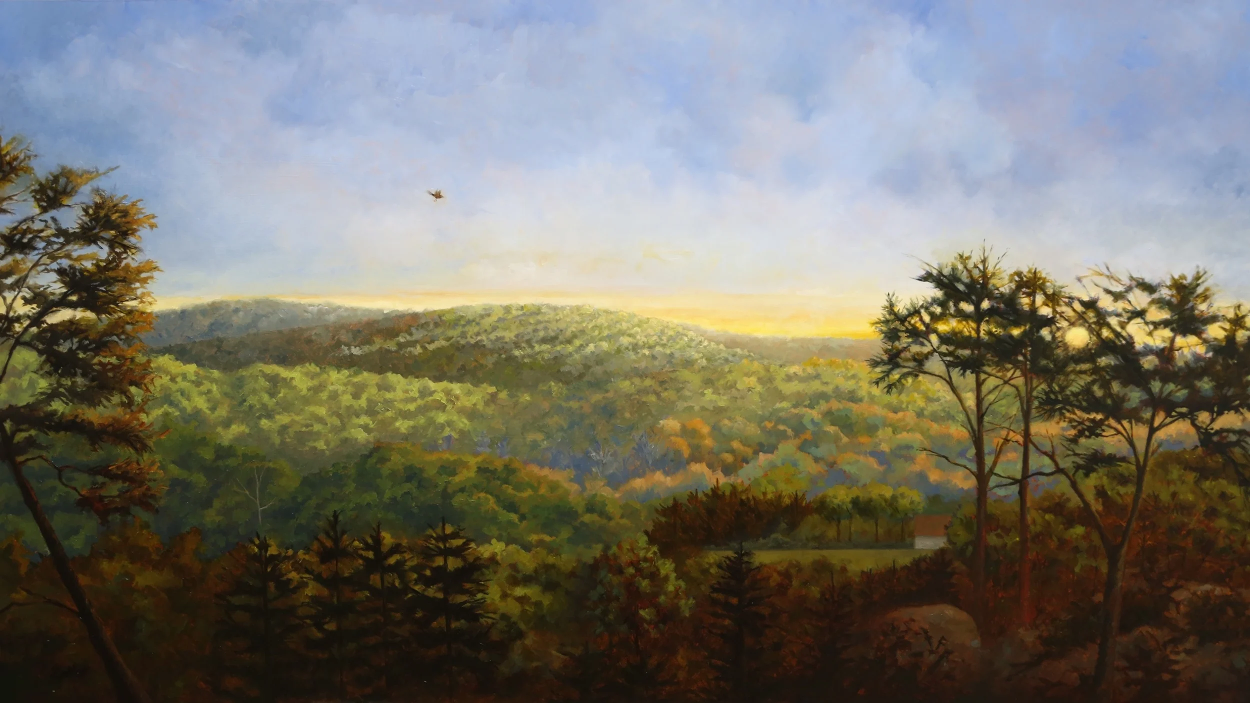                 Oramus rose and flew in a long, lazy arc across the evening sky.