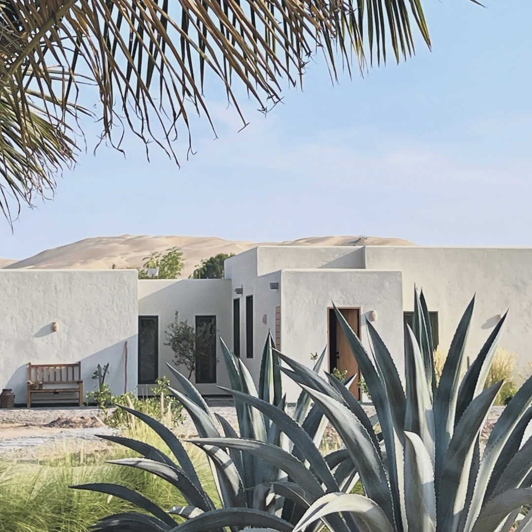 Sin título-2 (9).png