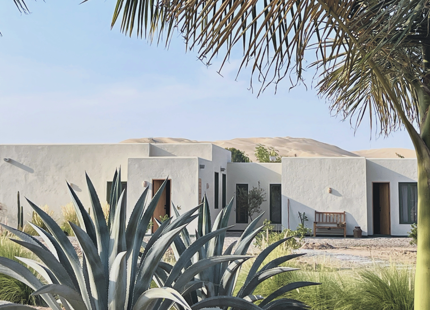 Sin título-2 (9).png