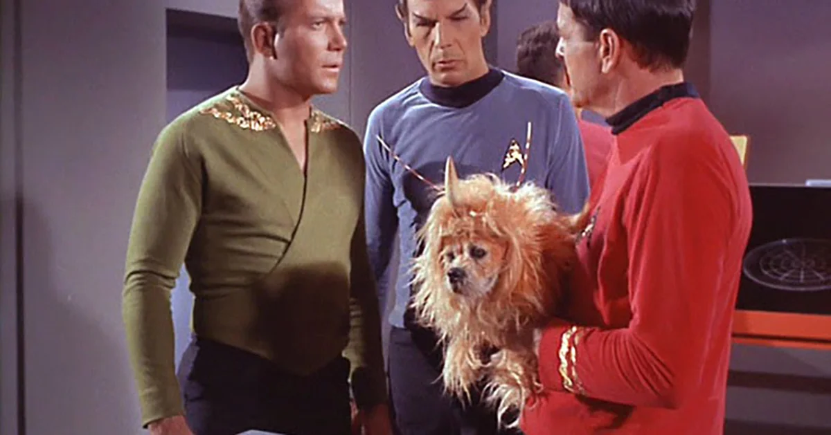 KmhMB-1445613059-embed-spacedog_scotty.jpg
