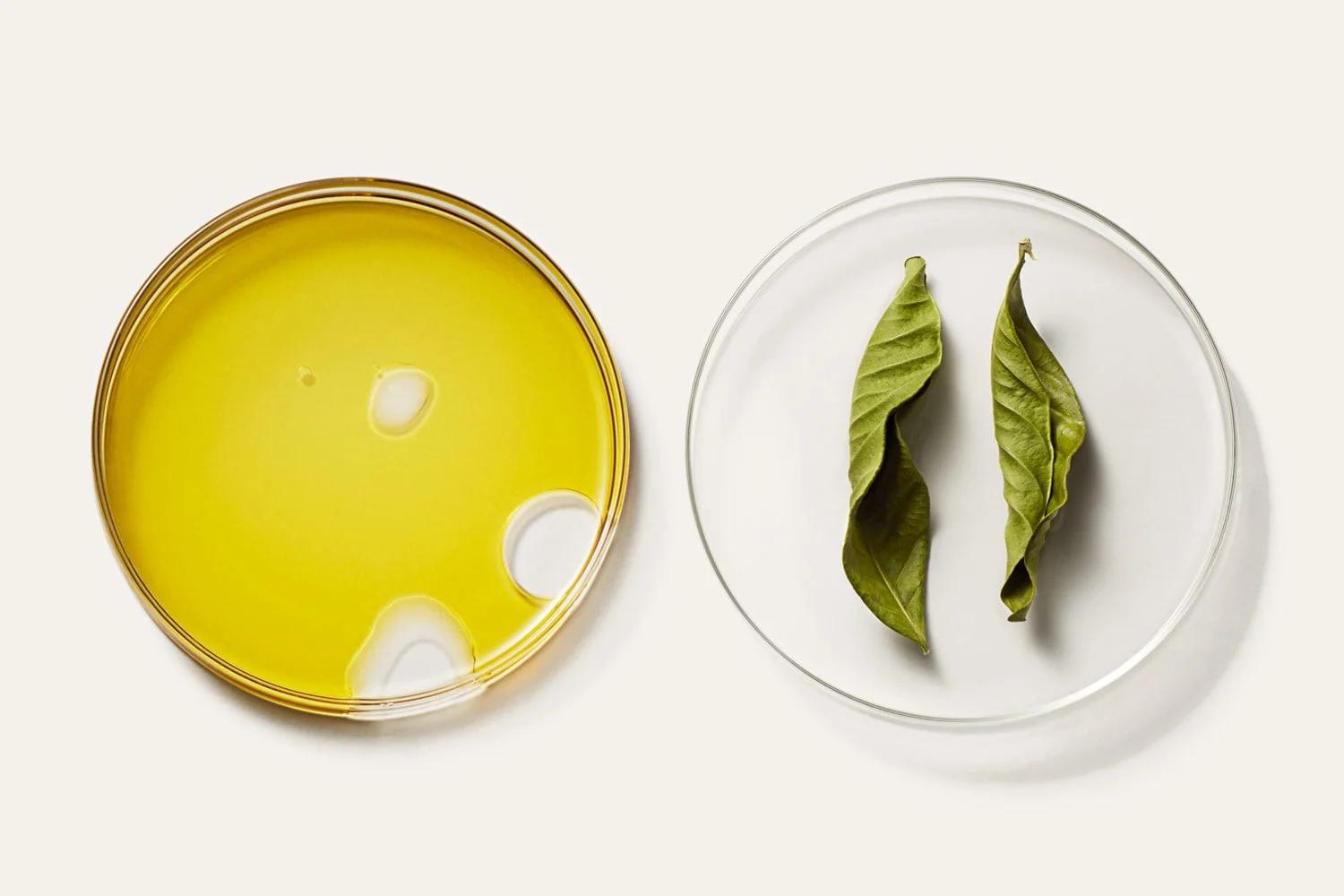 FEIT retouching _11.jpg