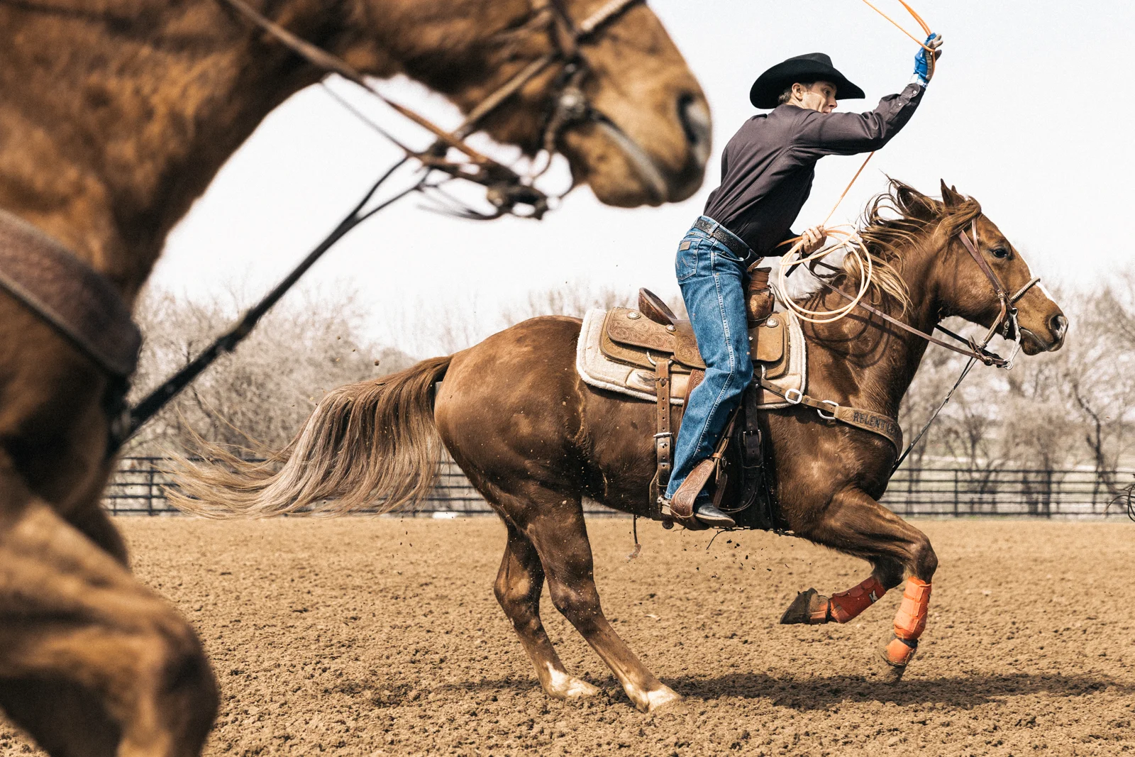 RaviVora_Wrnglr_03_Roping-2386.jpg
