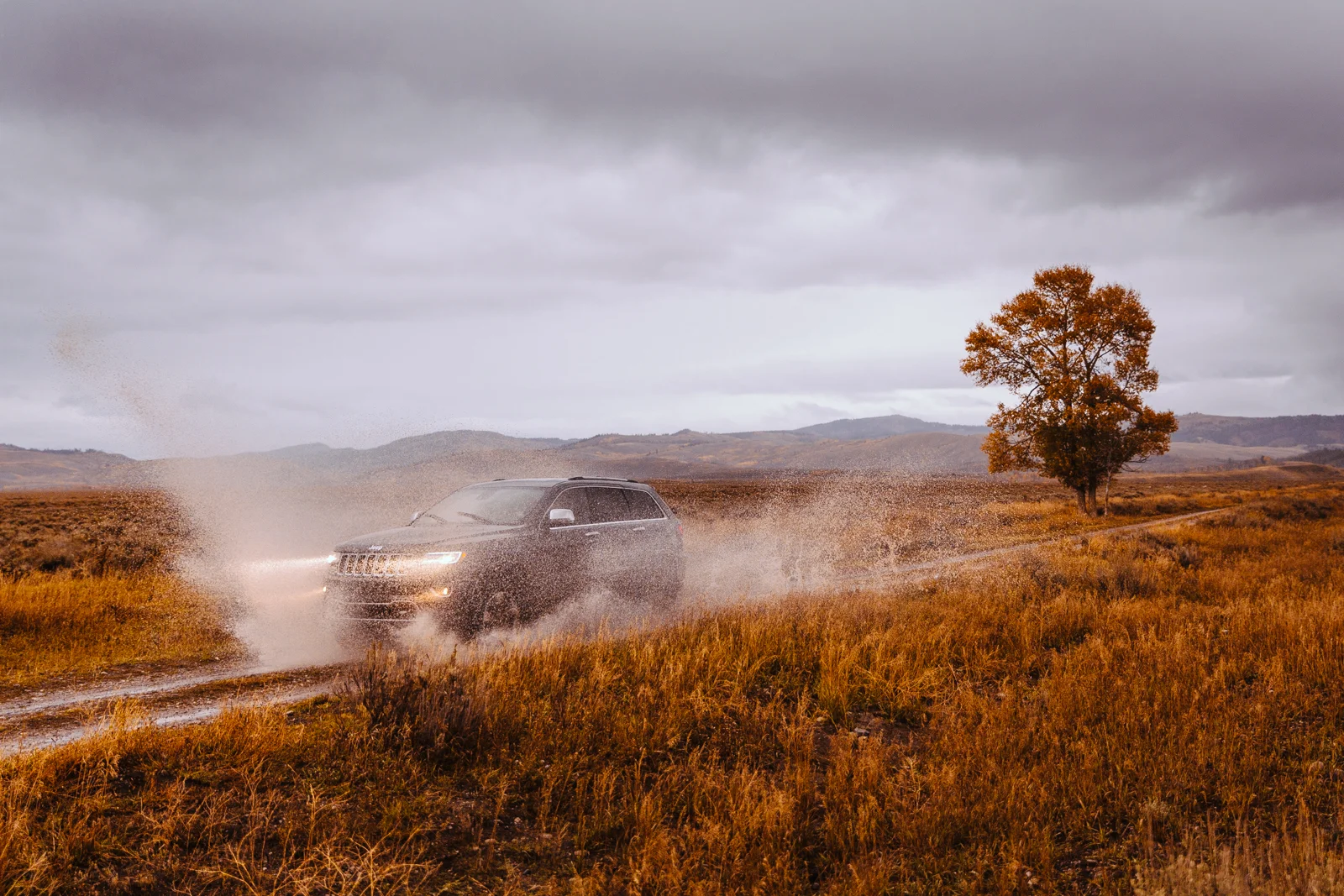 RAVI_VORA__AV_1748_jeep.jpg