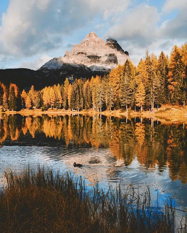 a lone duck enjoying the crisp water in the italian alps. 🏔 considering selling prints. let me know if you&rsquo;d be interested and if anyone has a preferred print shop they&rsquo;ve used before!