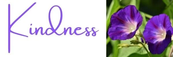 The Power of Kindness 