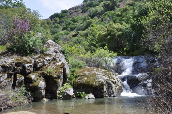  Little water falls 