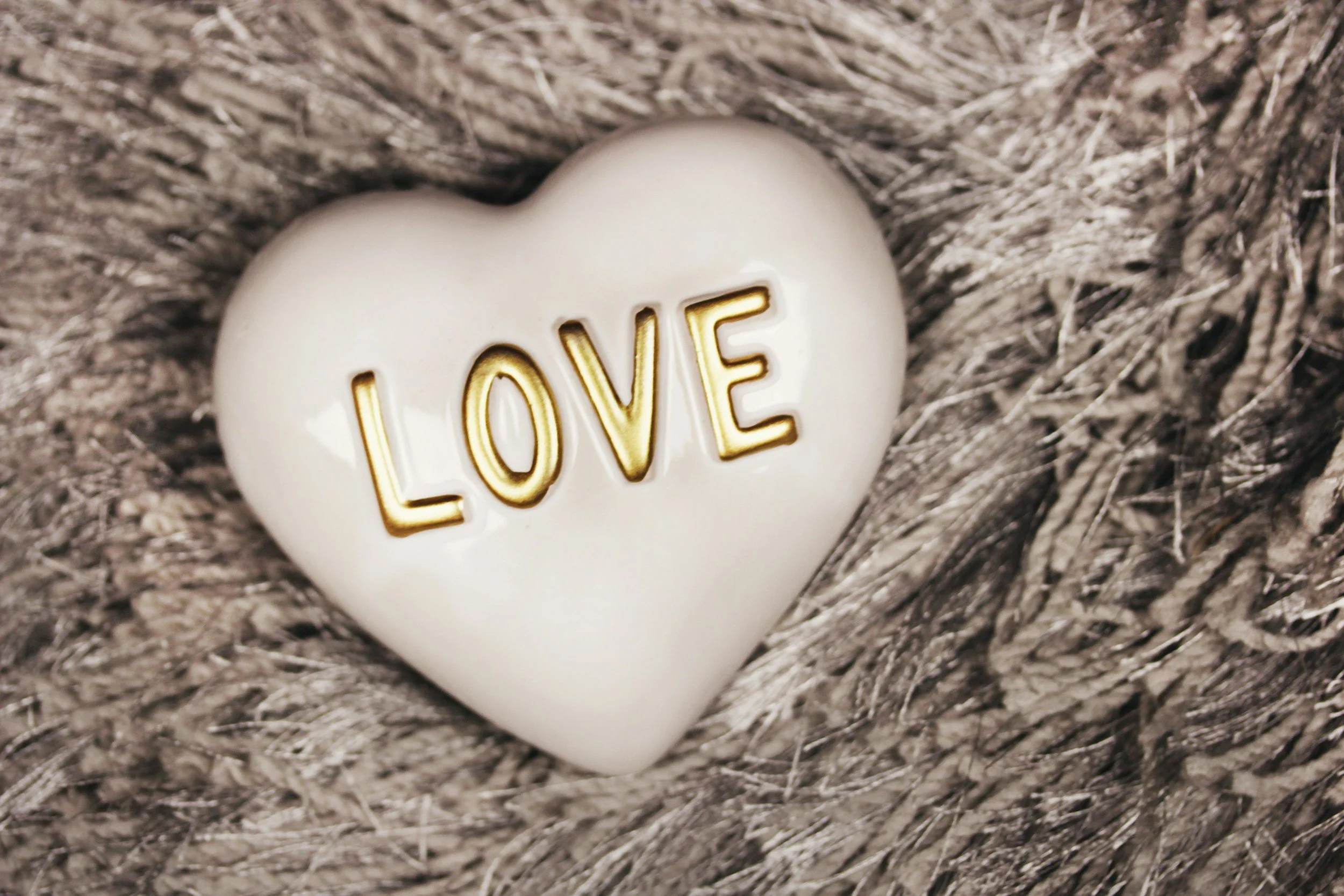 Going Door to Door Singing Love Songs